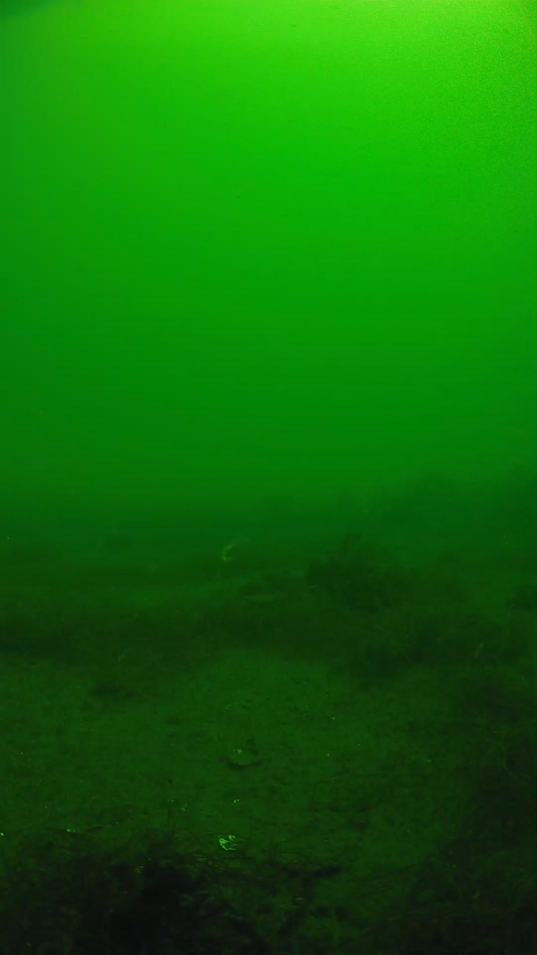lander_ipcam_20250604103110.png