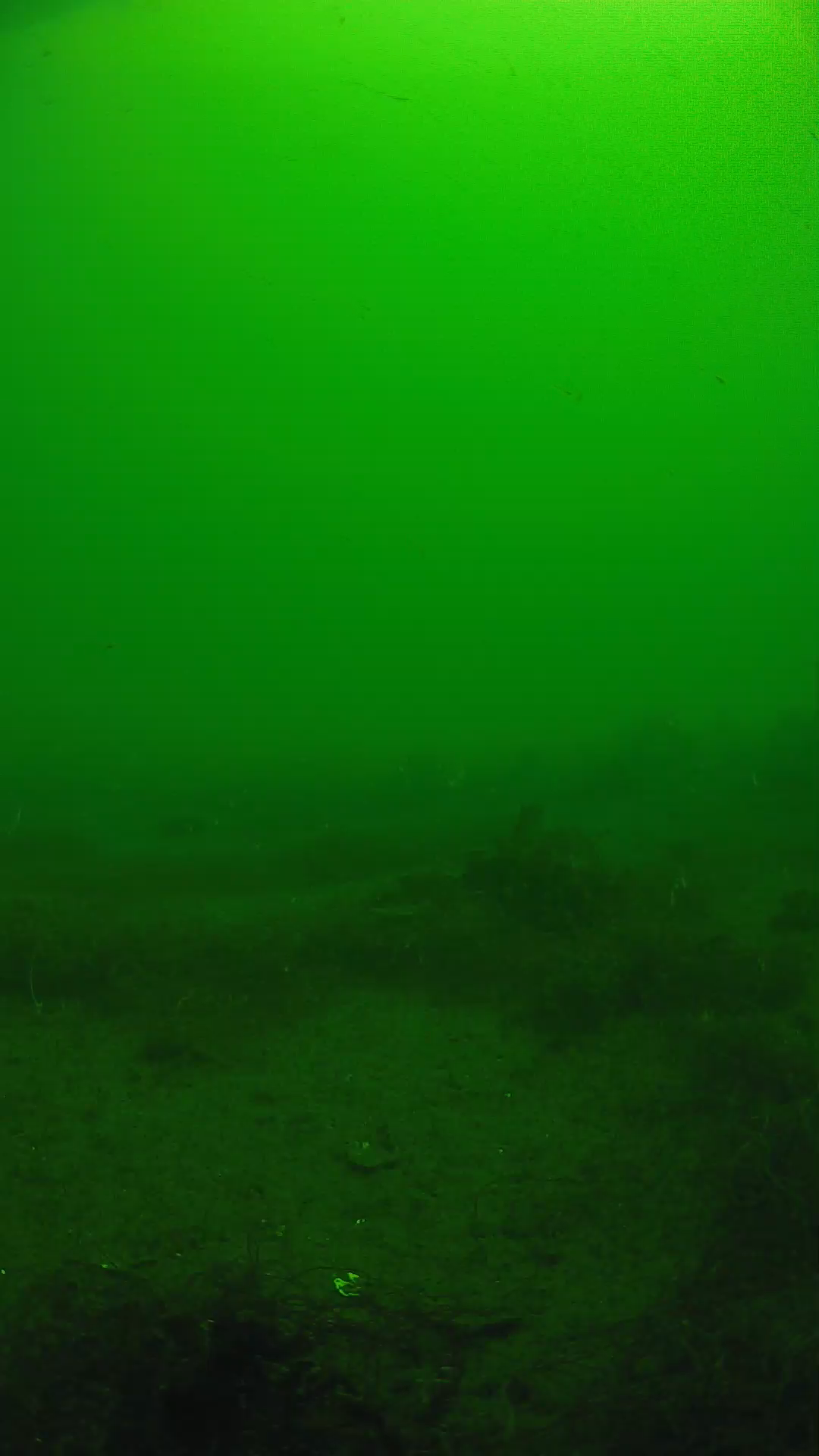 lander_ipcam_20250604103156.png