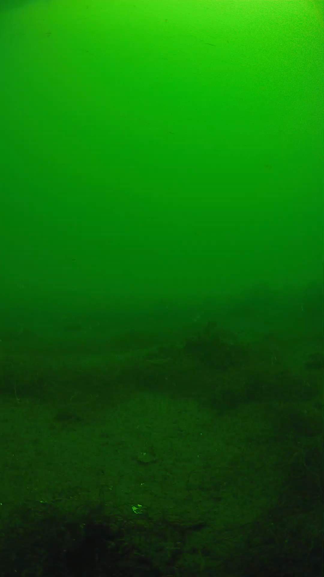 lander_ipcam_20250604103158.png