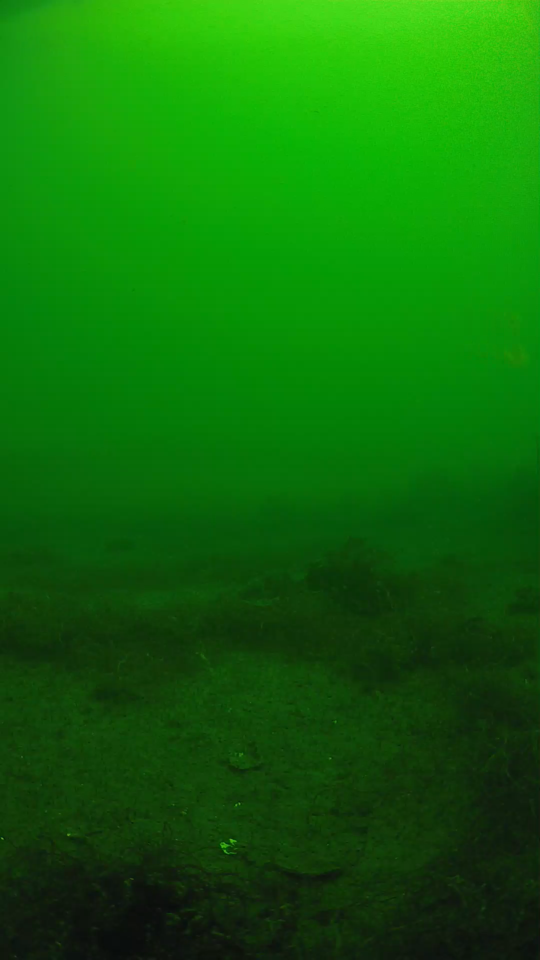 lander_ipcam_20250604104636.png