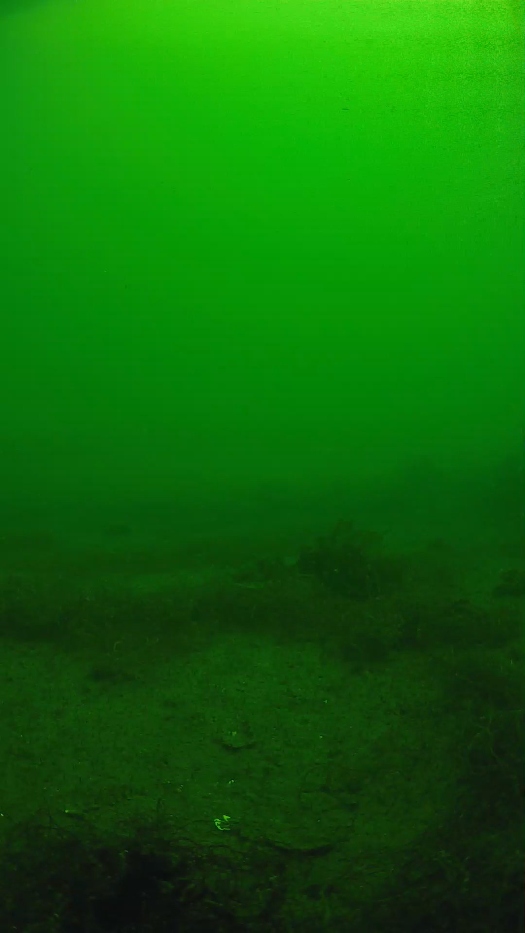 lander_ipcam_20250604104640.png