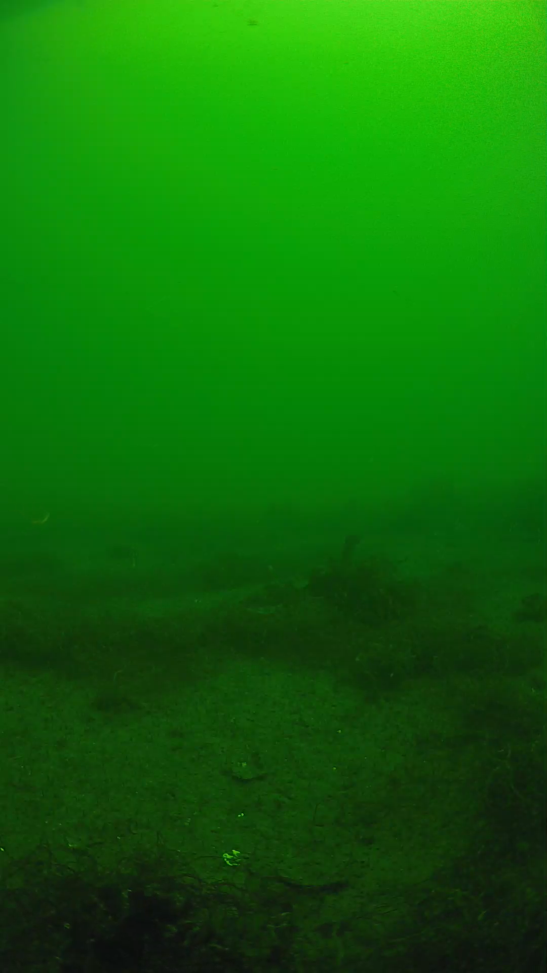 lander_ipcam_20250604110108.png