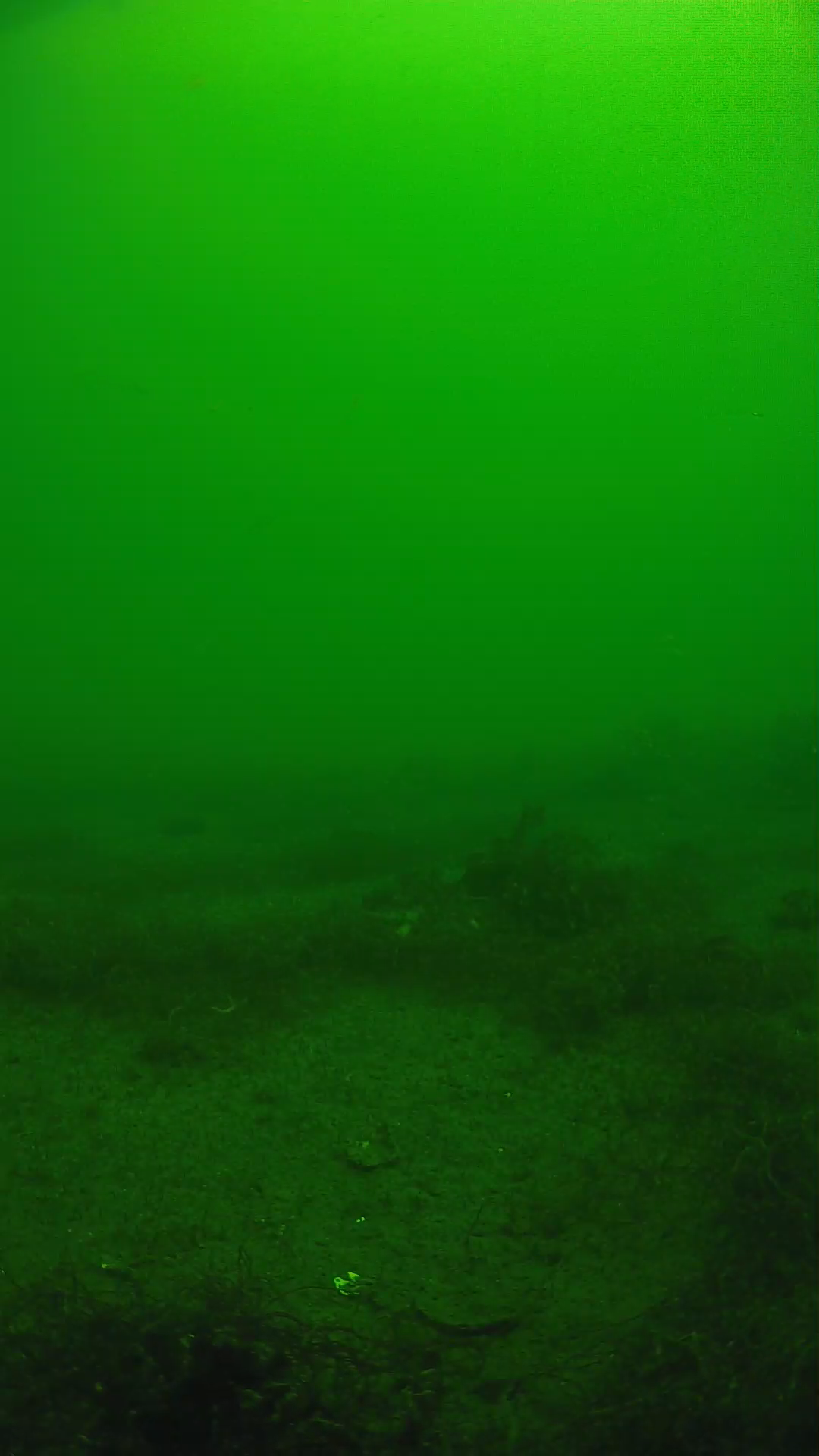 lander_ipcam_20250604110121.png