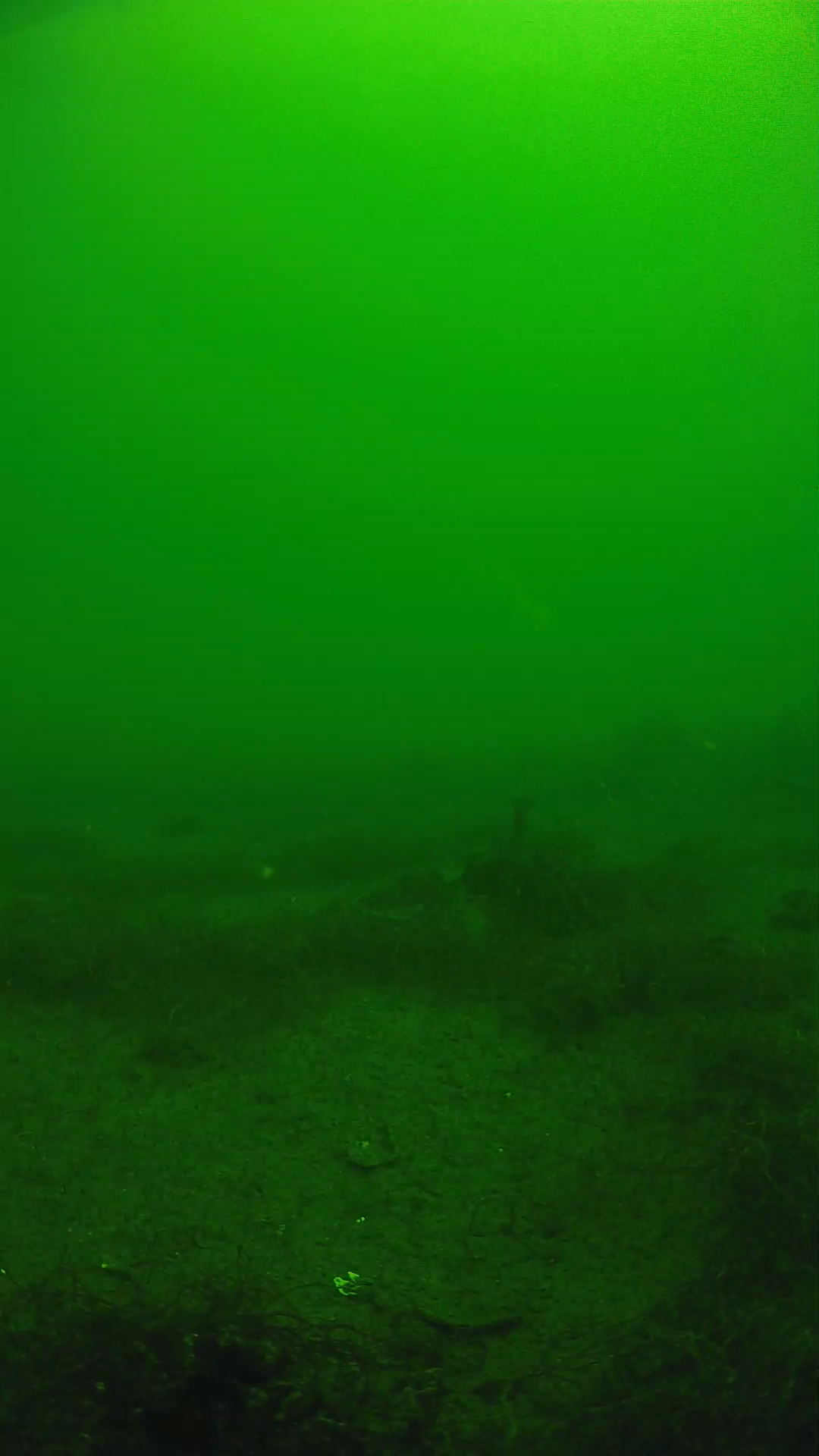 lander_ipcam_20250604110131.png