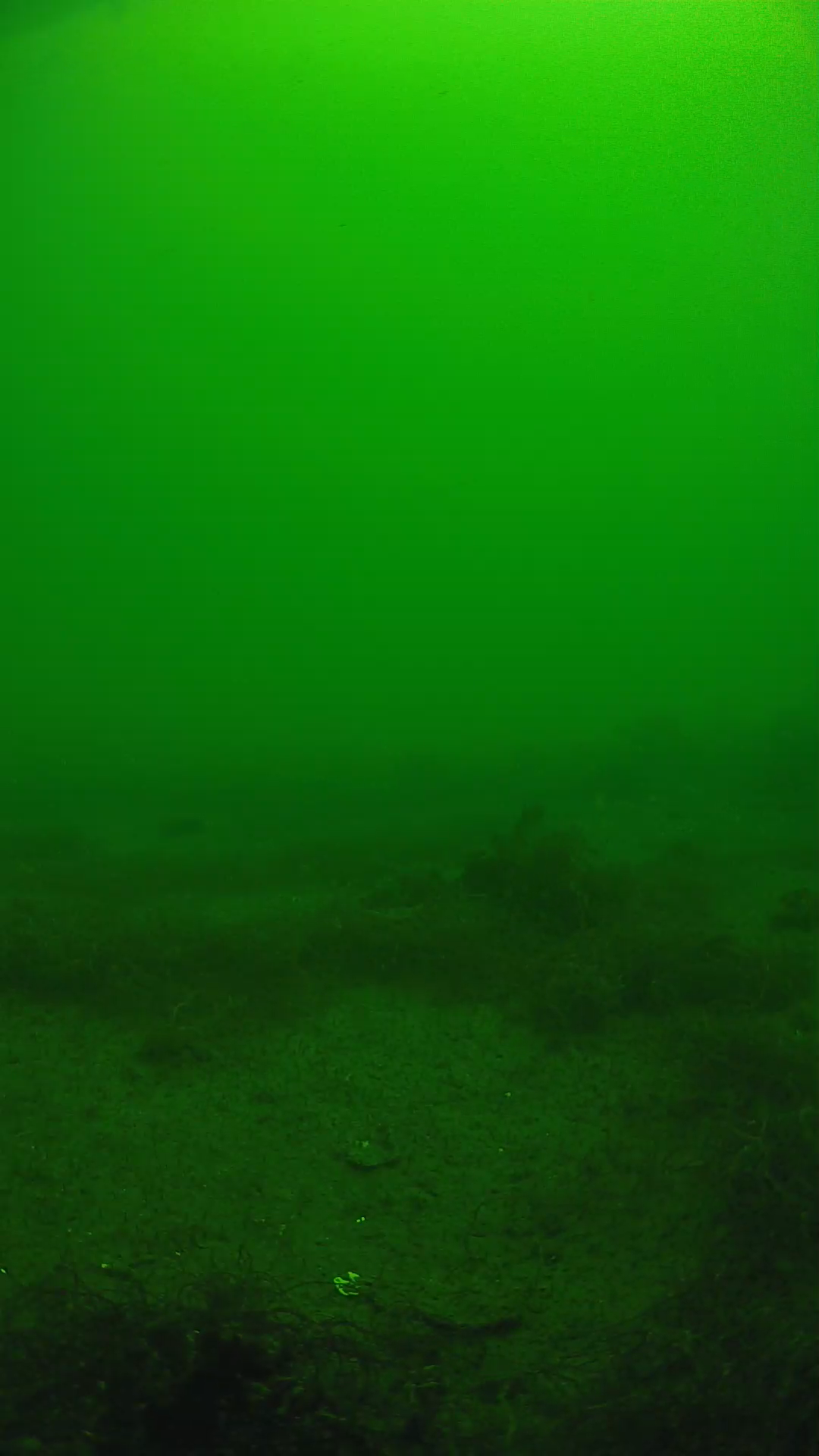 lander_ipcam_20250604110154.png