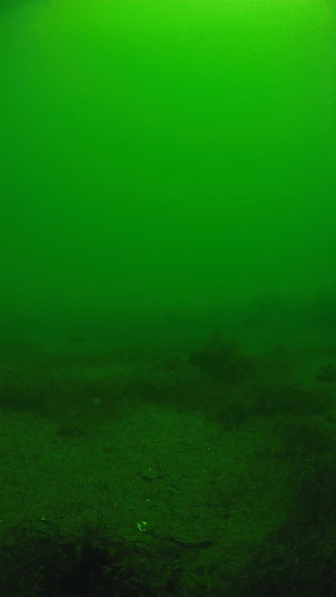 lander_ipcam_20250604110156.png