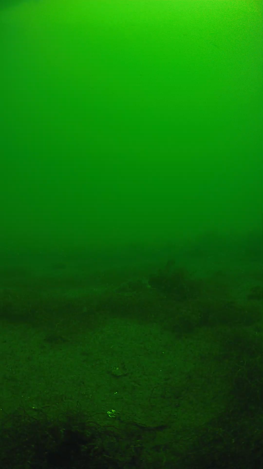 lander_ipcam_20250604110159.png