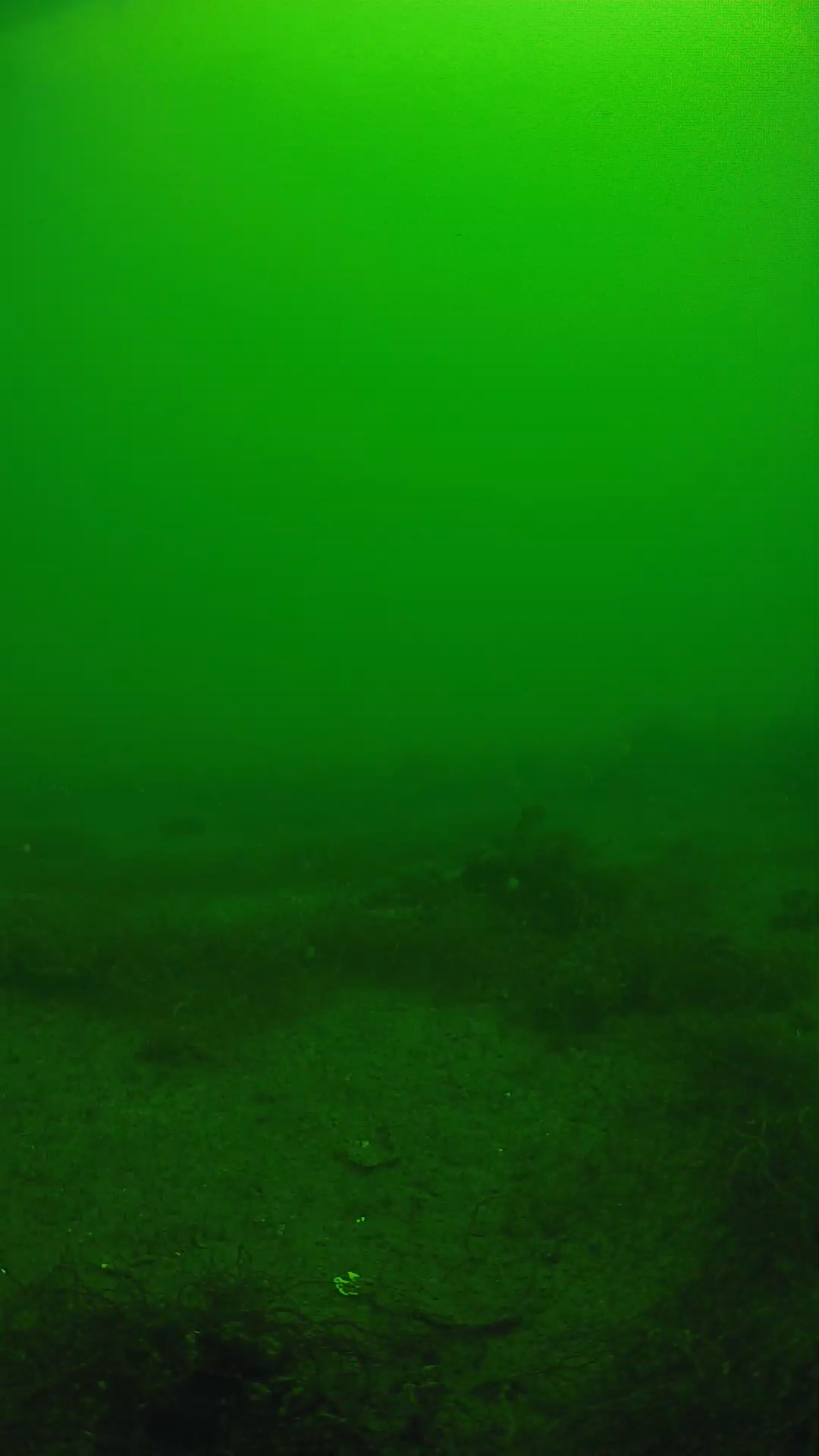 lander_ipcam_20250604110200.png
