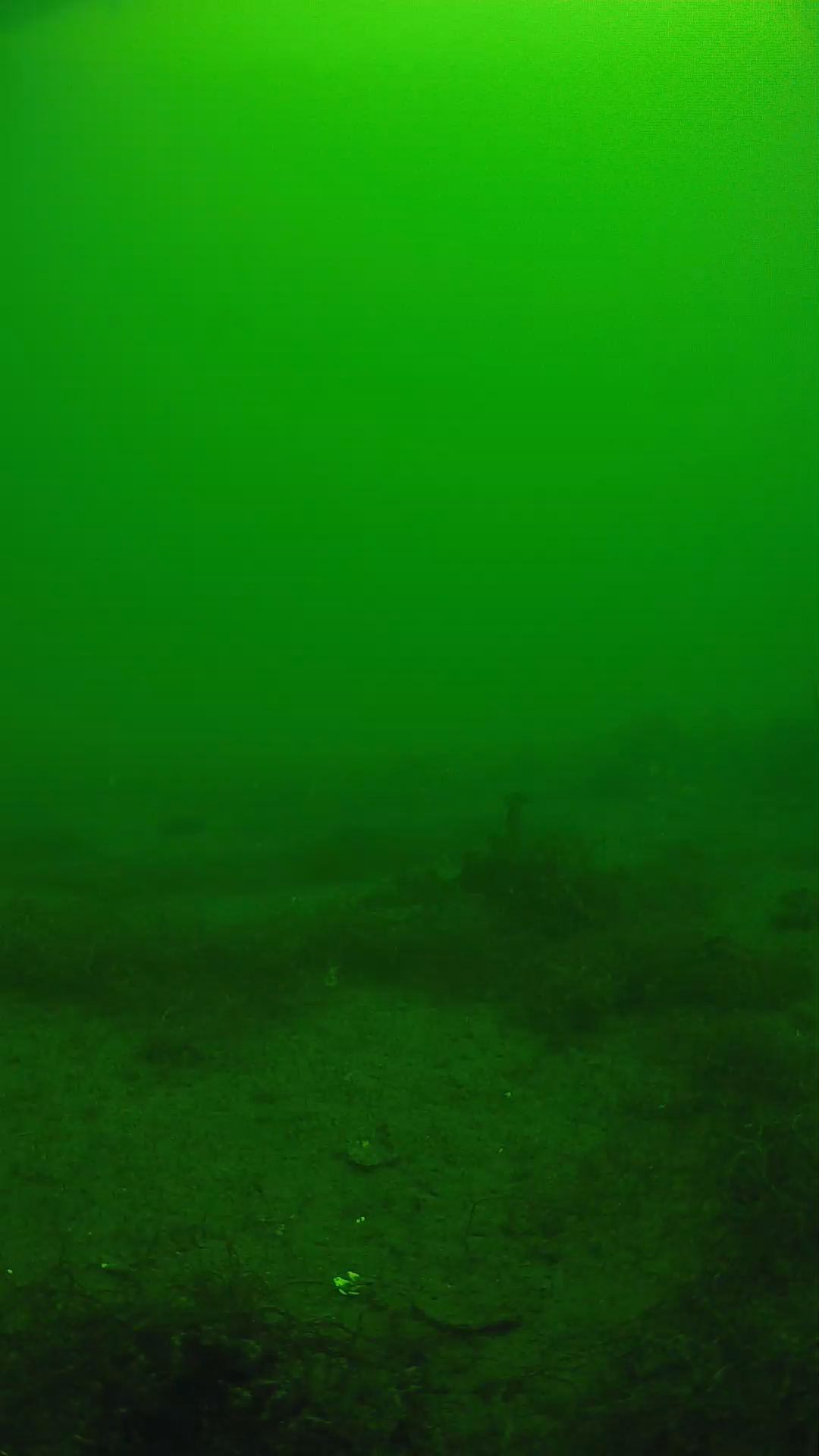 lander_ipcam_20250604111610.png
