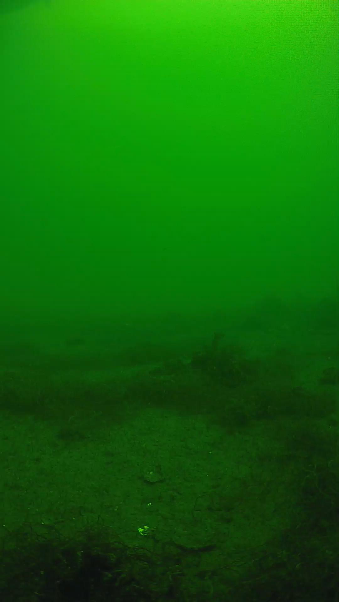lander_ipcam_20250604111627.png