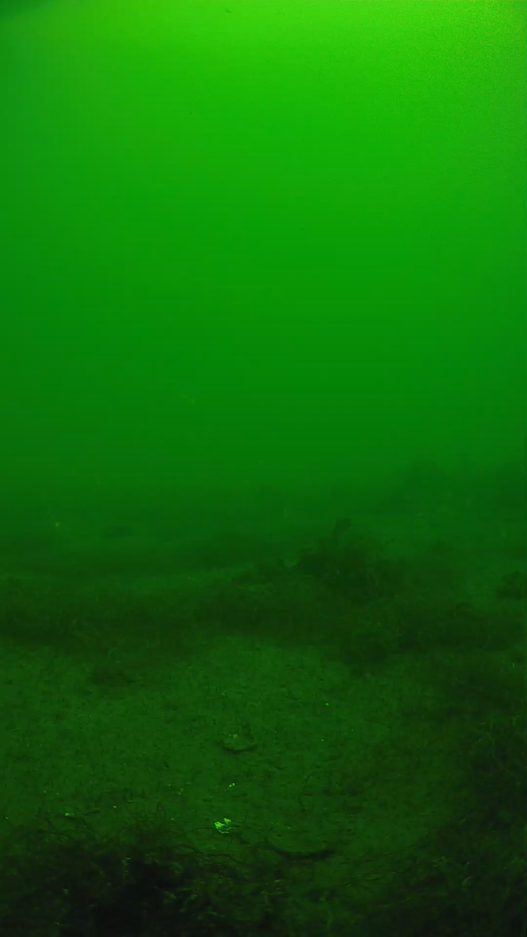 lander_ipcam_20250604111645.png