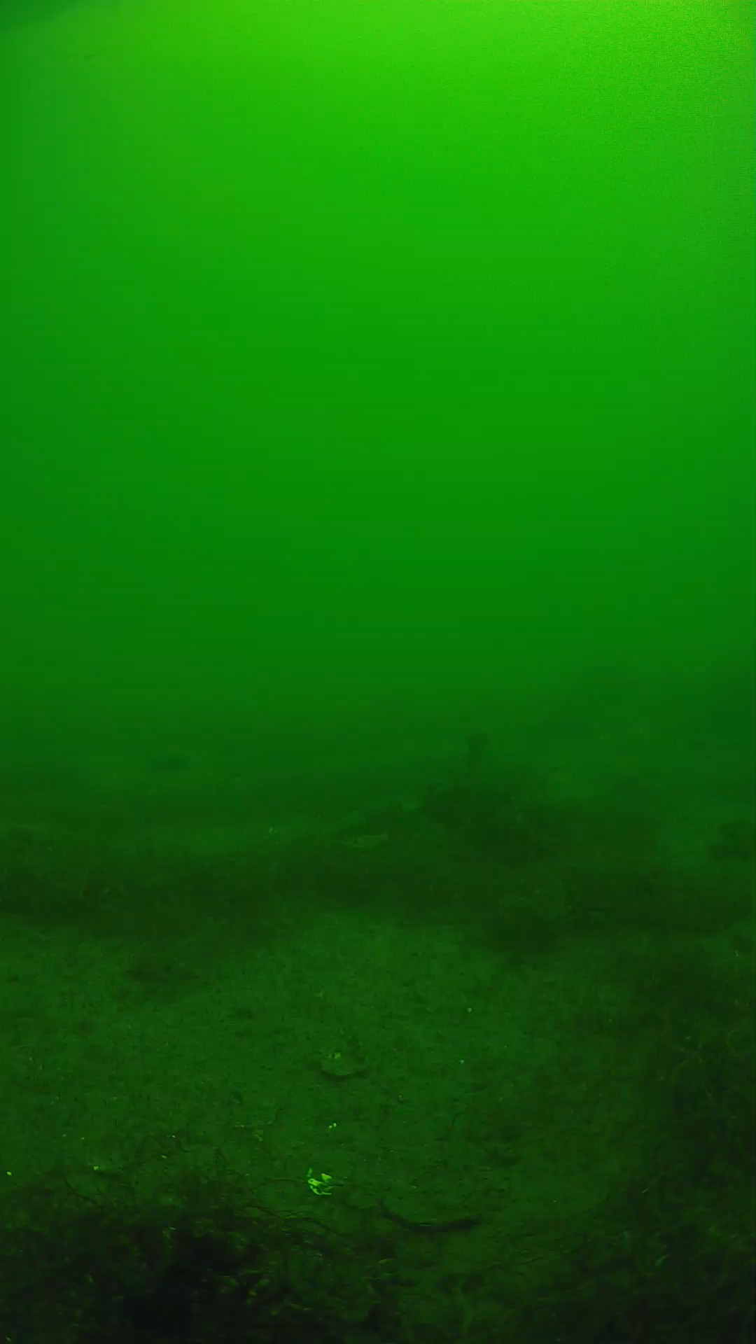 lander_ipcam_20250604113108.png