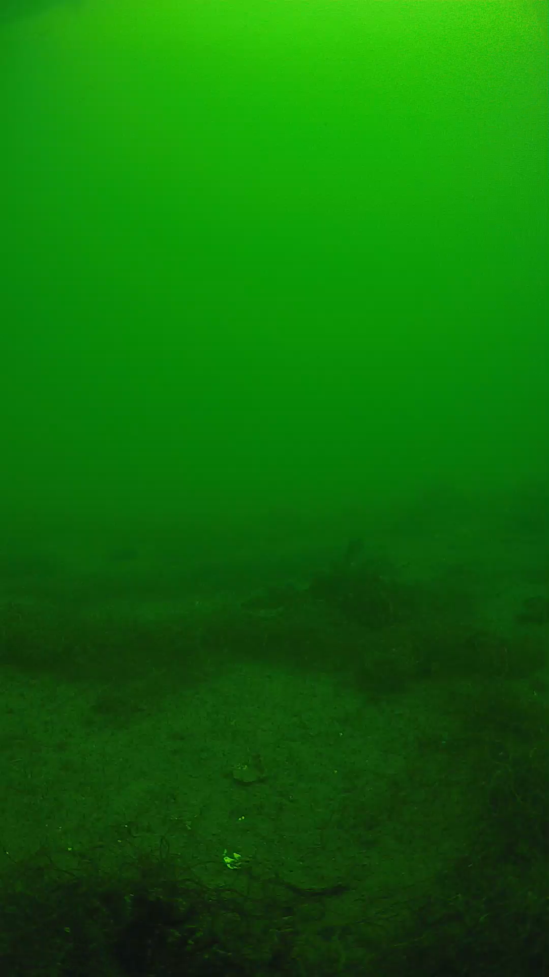 lander_ipcam_20250604113112.png
