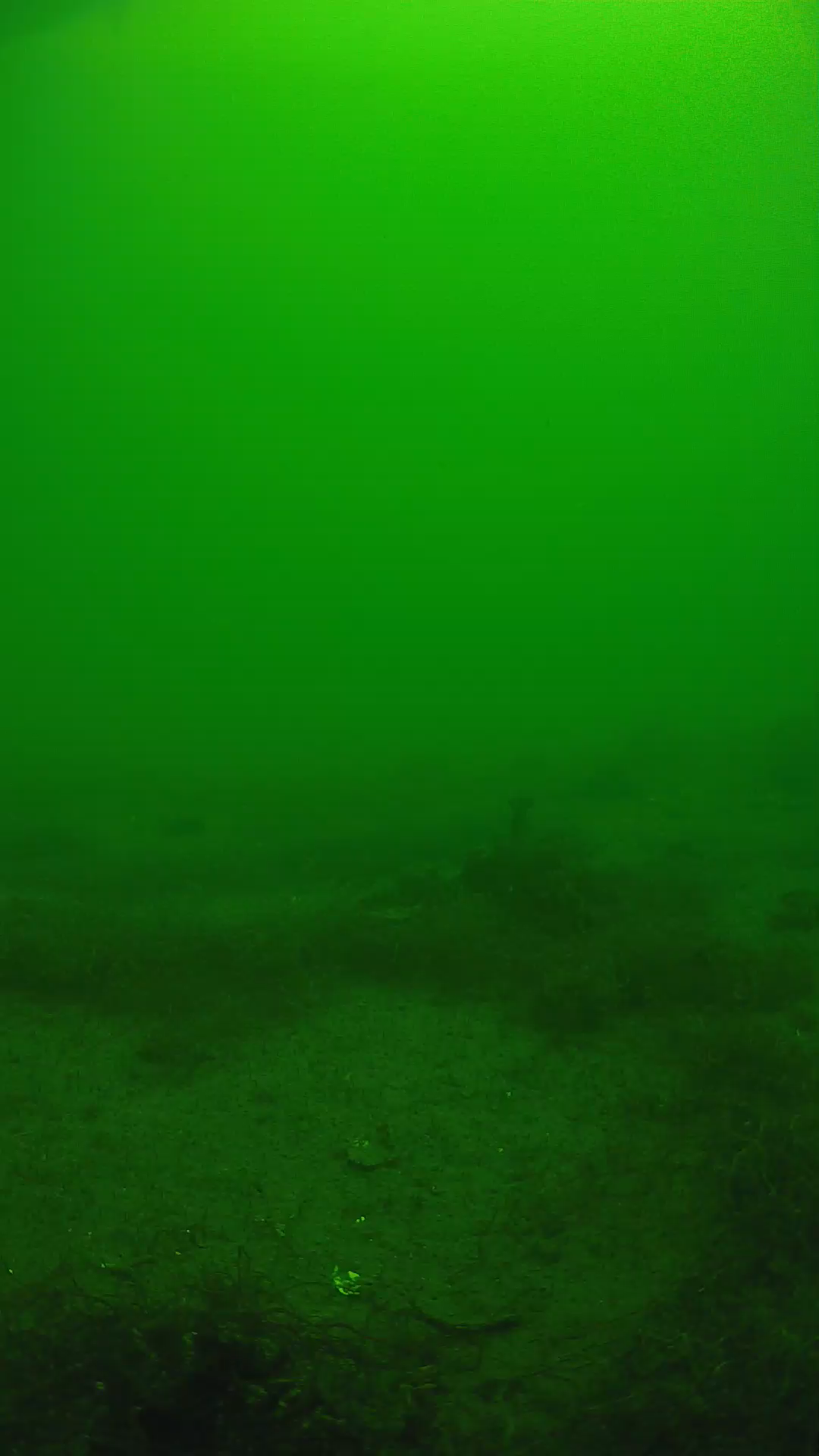 lander_ipcam_20250604113130.png
