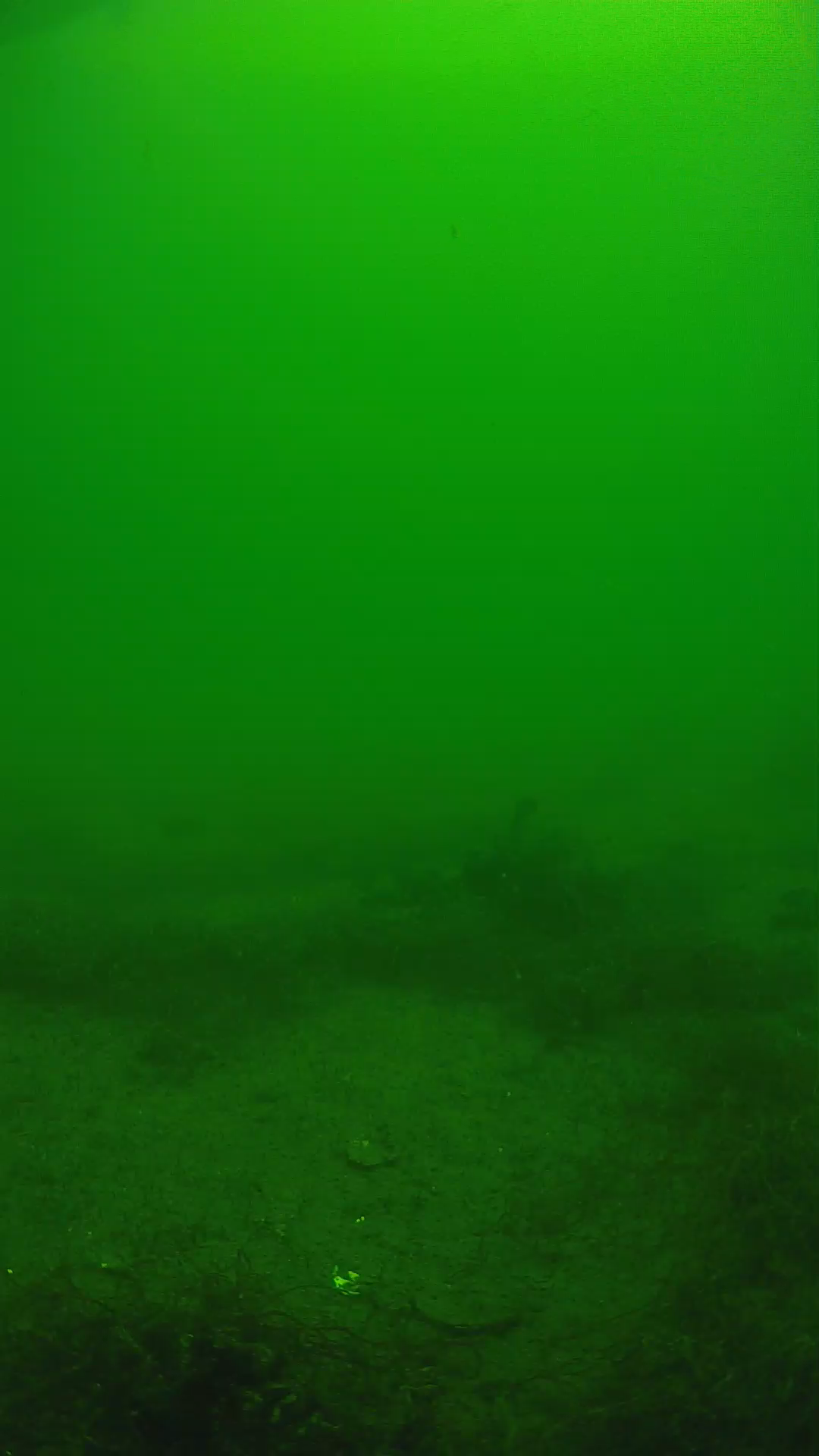 lander_ipcam_20250604114604.png