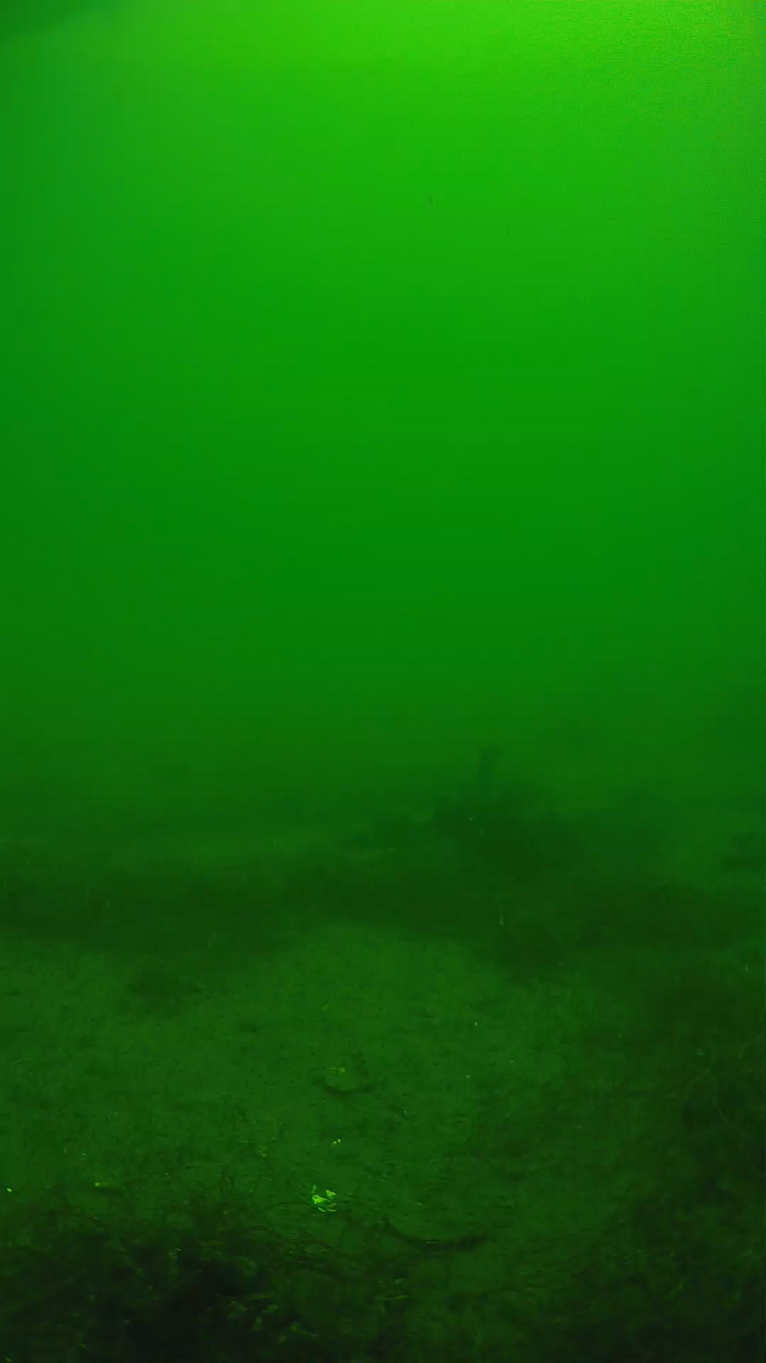 lander_ipcam_20250604114606.png