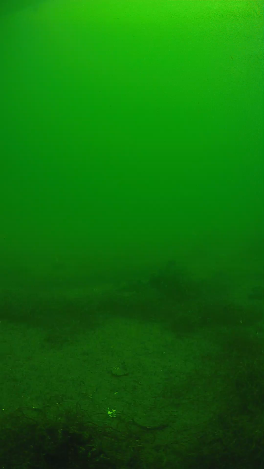 lander_ipcam_20250604114615.png