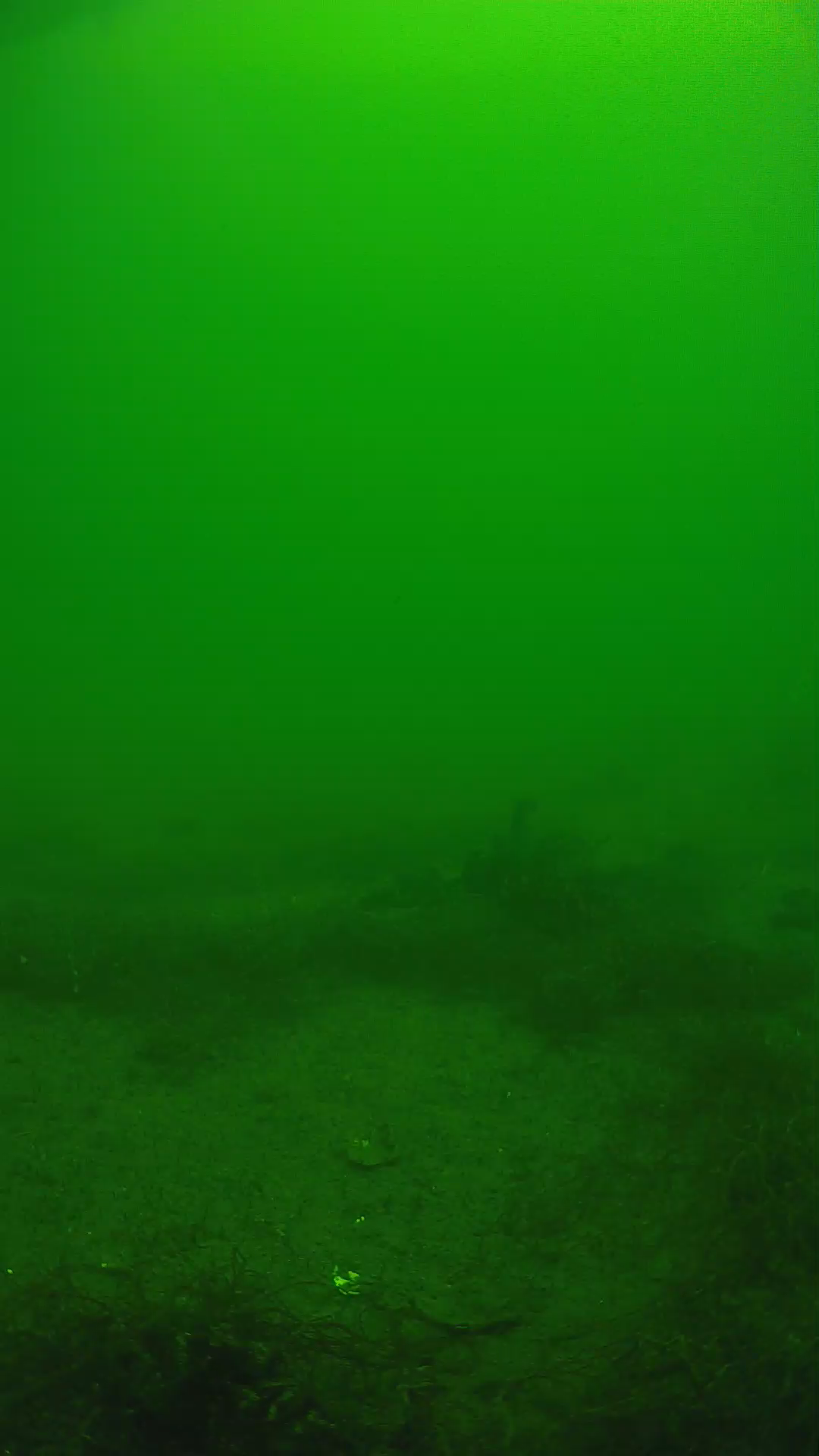 lander_ipcam_20250604114642.png