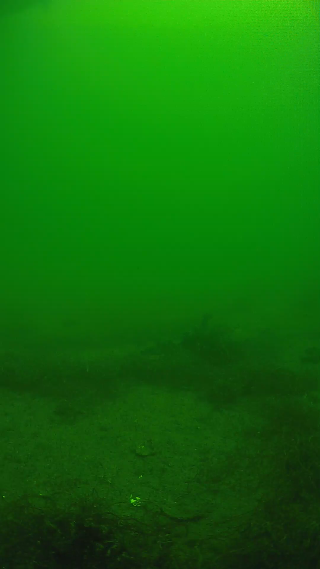 lander_ipcam_20250604114649.png