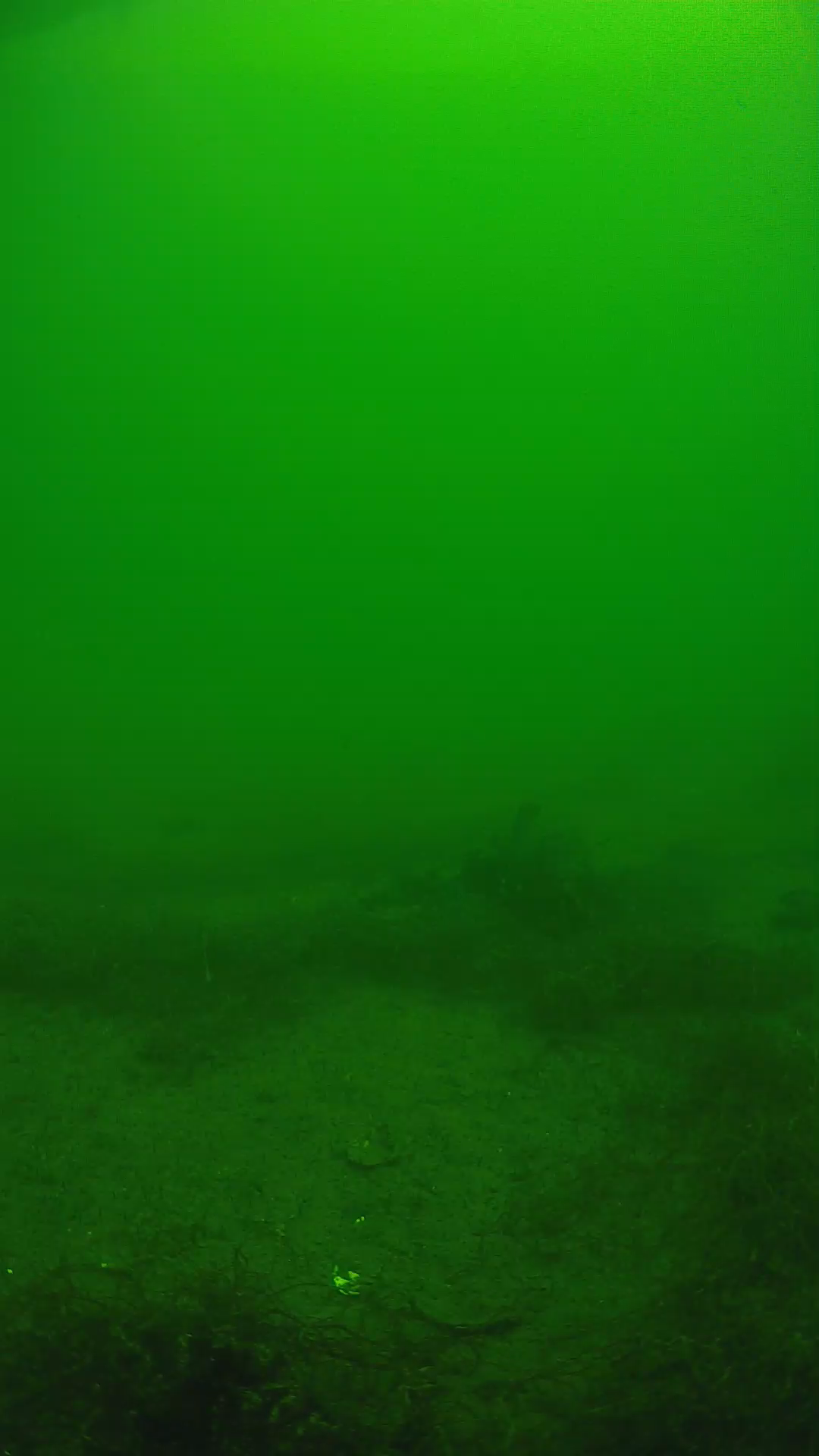 lander_ipcam_20250604114653.png