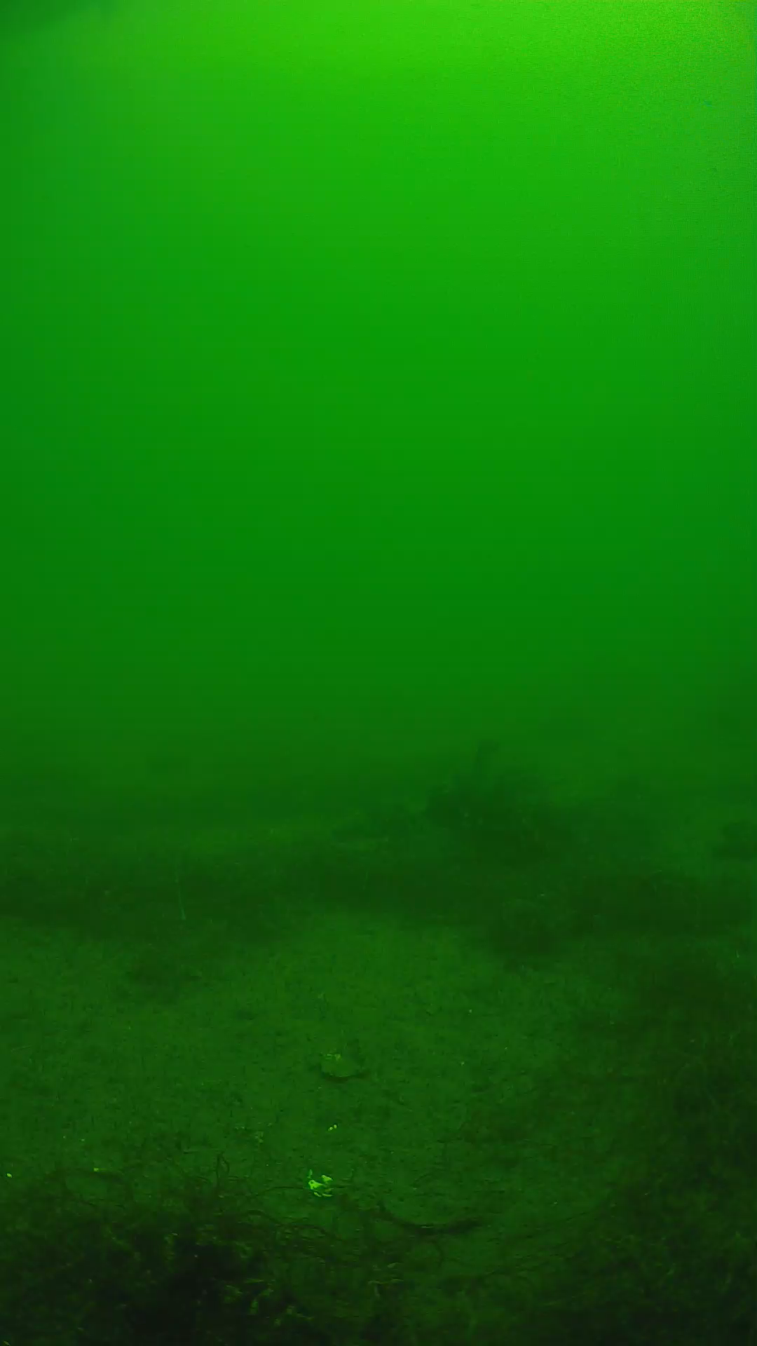 lander_ipcam_20250604114655.png