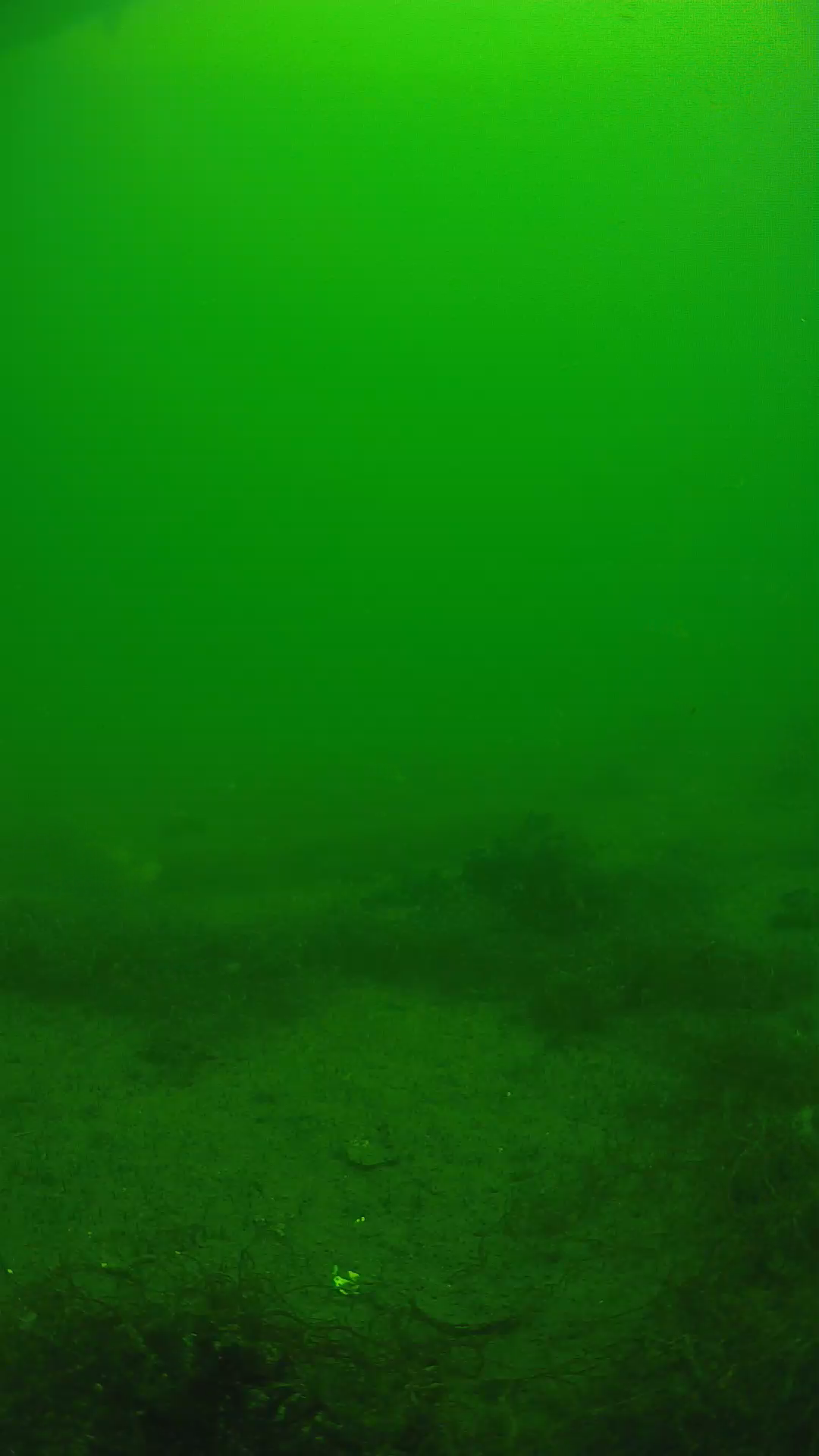 lander_ipcam_20250604120119.png