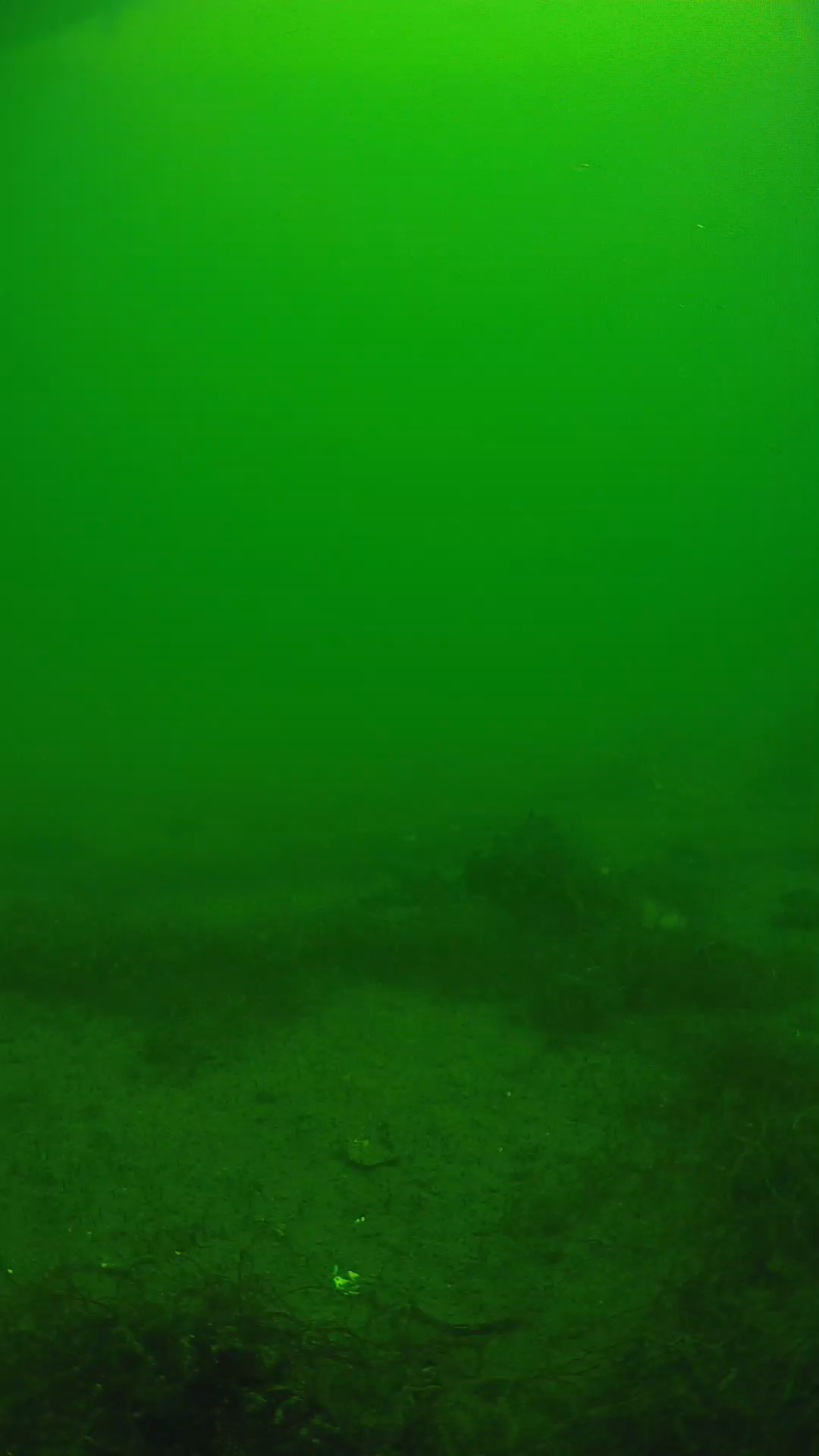 lander_ipcam_20250604120123.png