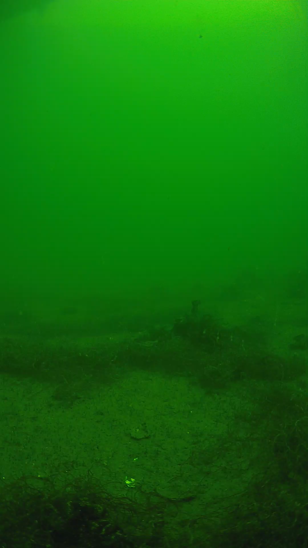 lander_ipcam_20250604121621.png