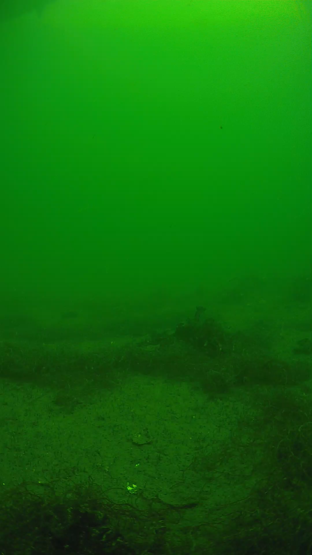 lander_ipcam_20250604121627.png