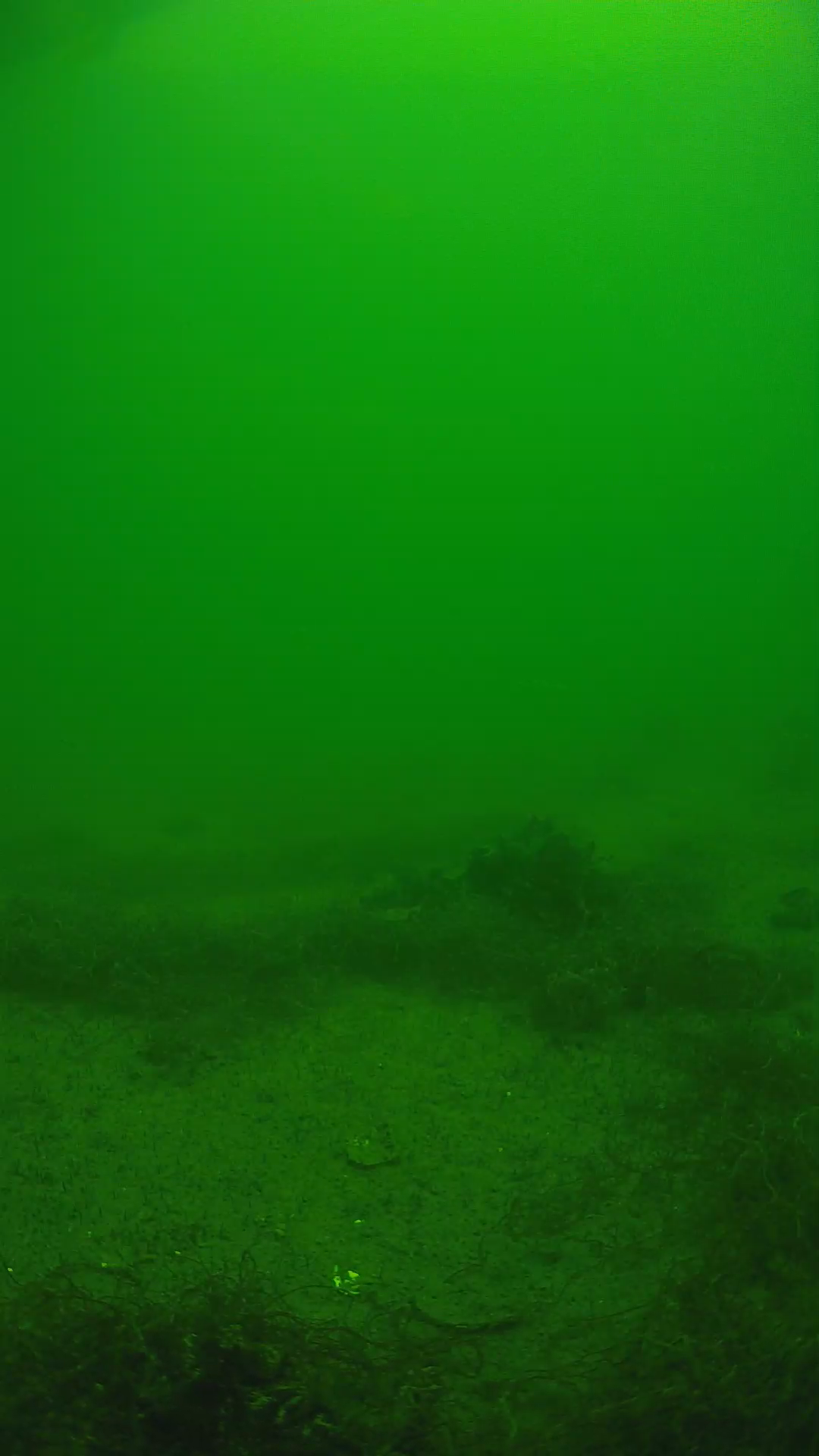 lander_ipcam_20250604123114.png