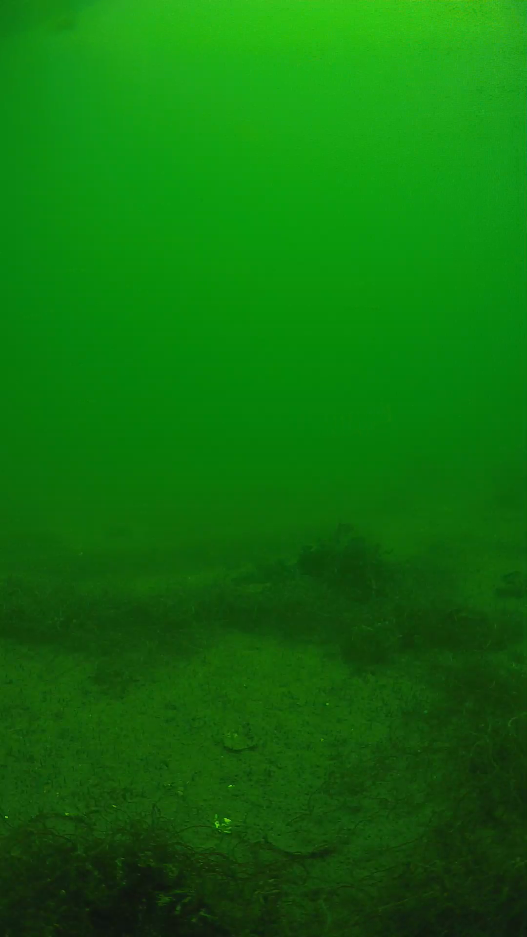lander_ipcam_20250604123125.png