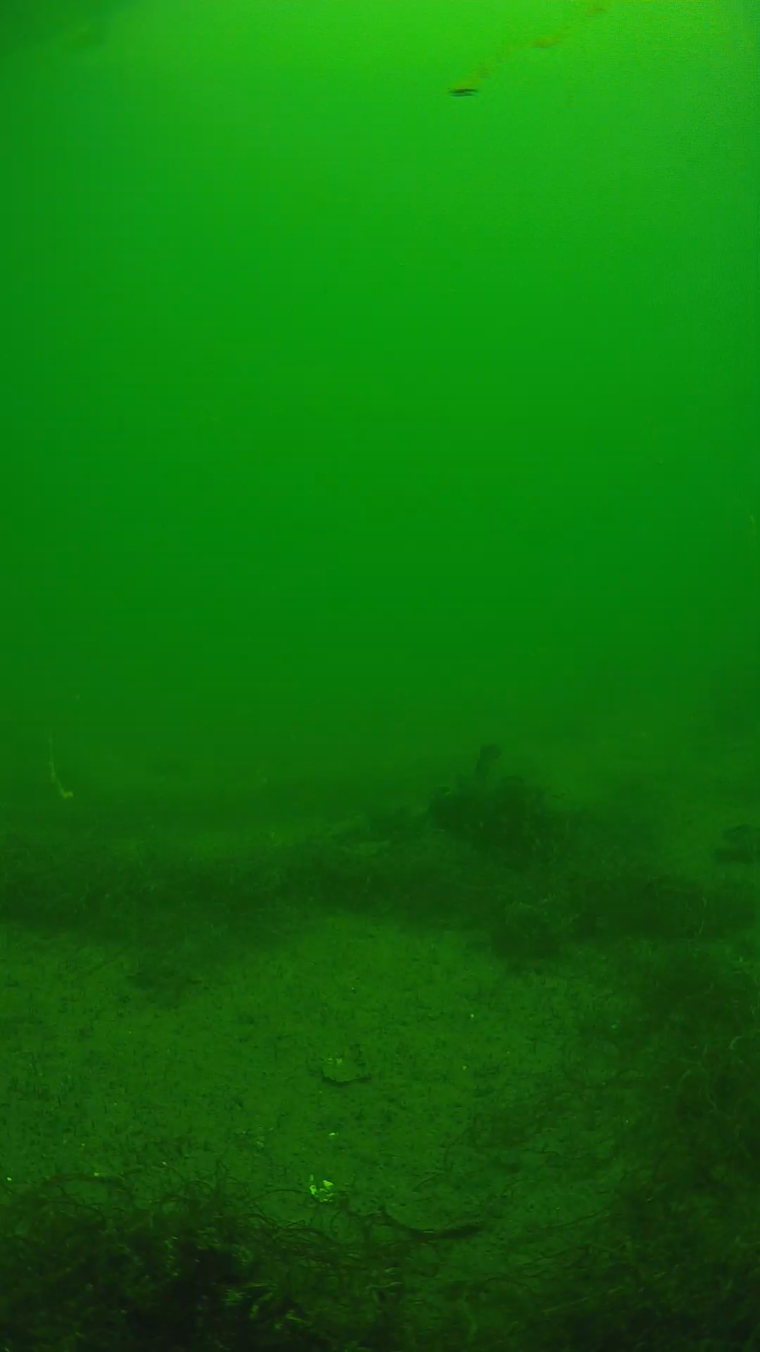 lander_ipcam_20250604123131.png