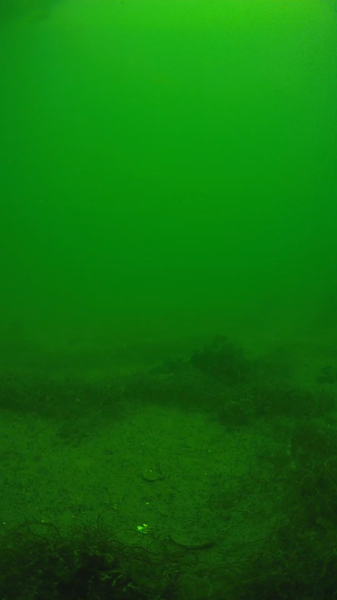 lander_ipcam_20250604123158.png