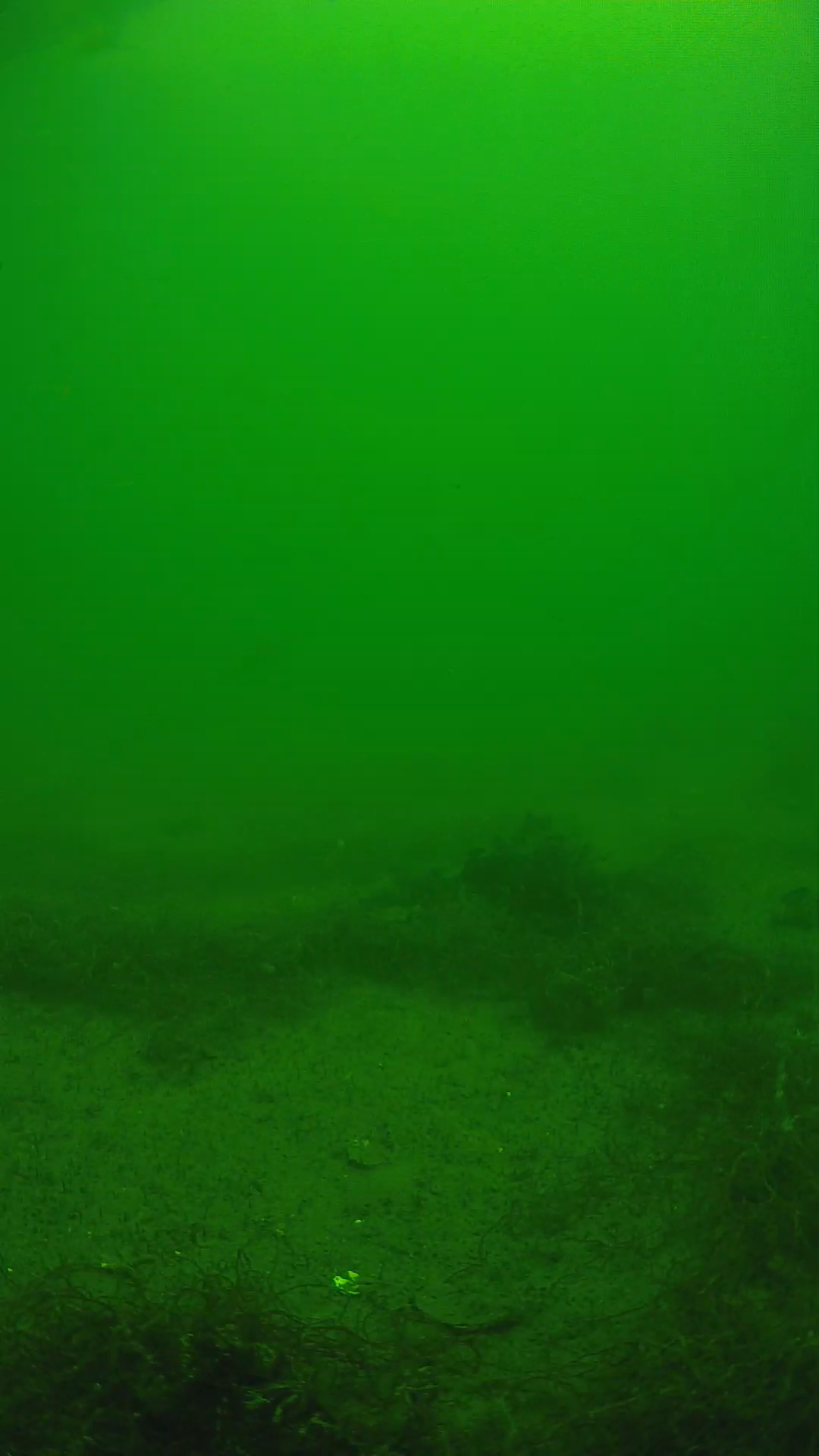 lander_ipcam_20250604123159.png