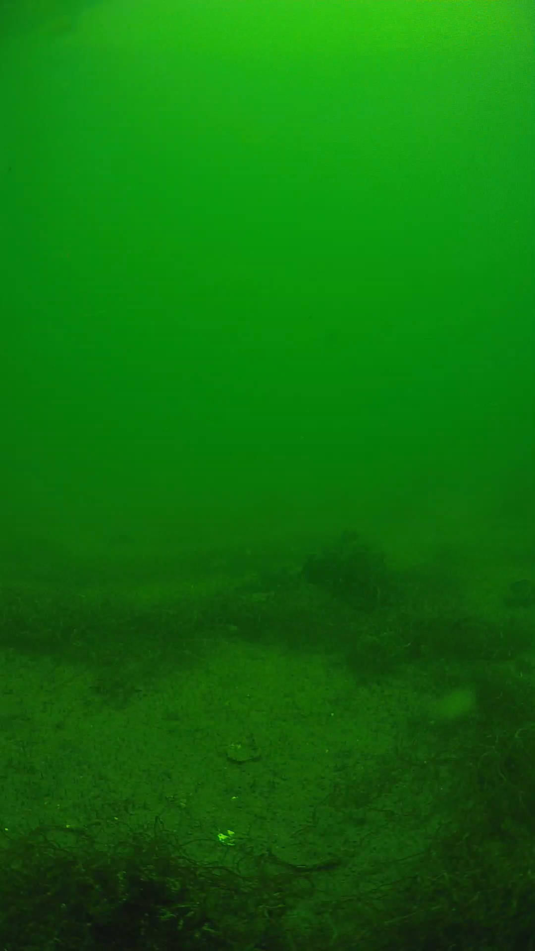 lander_ipcam_20250604123200.png