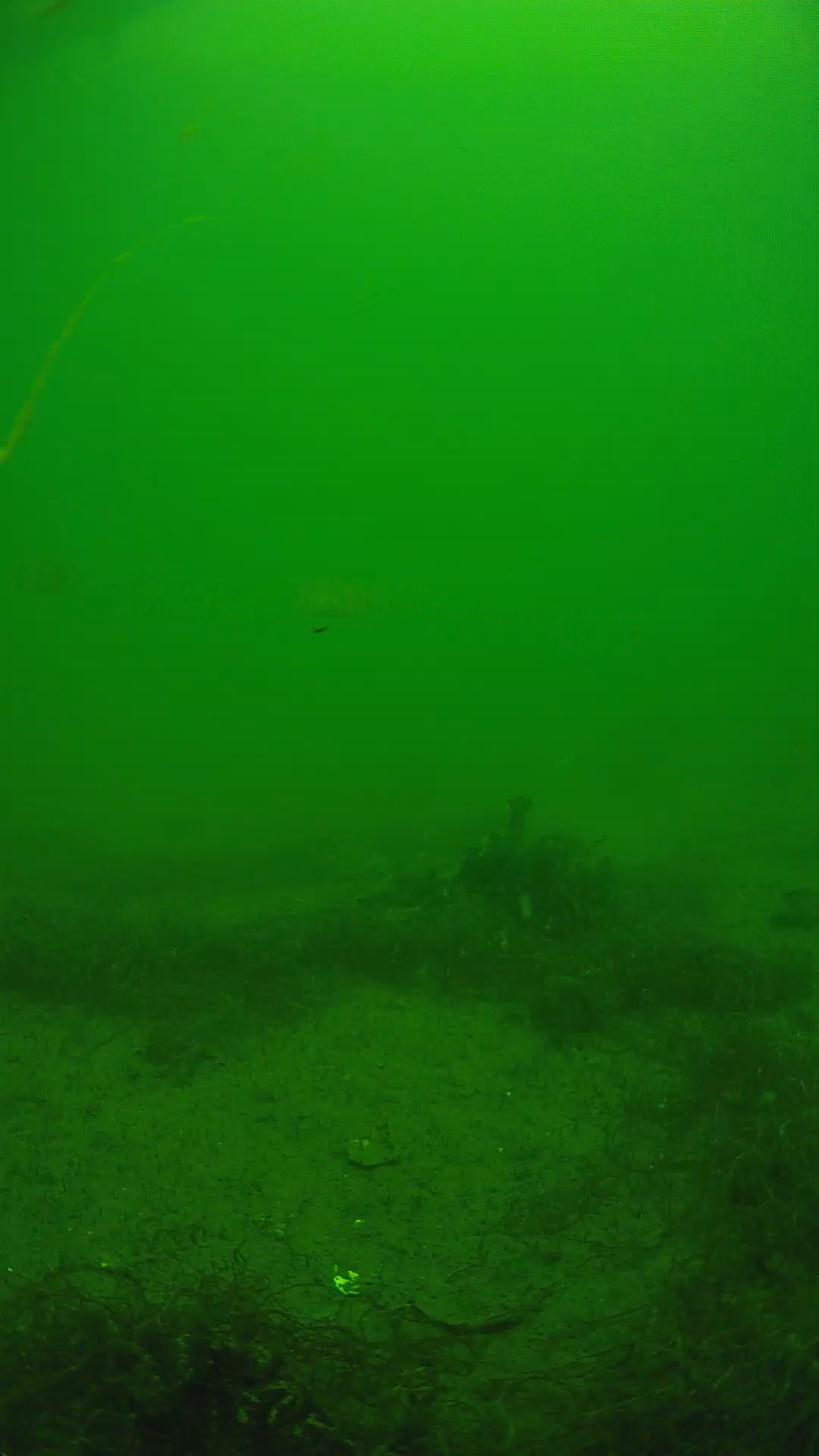lander_ipcam_20250604124607.png