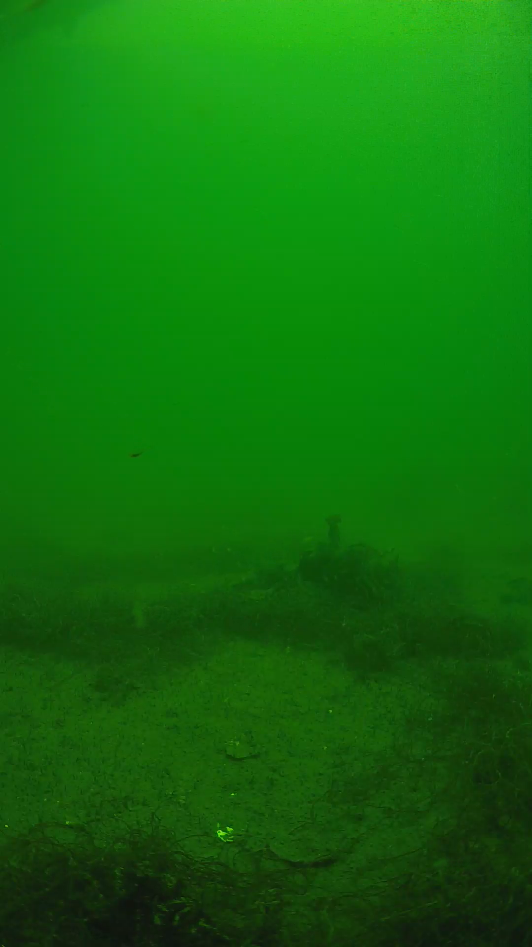 lander_ipcam_20250604124614.png