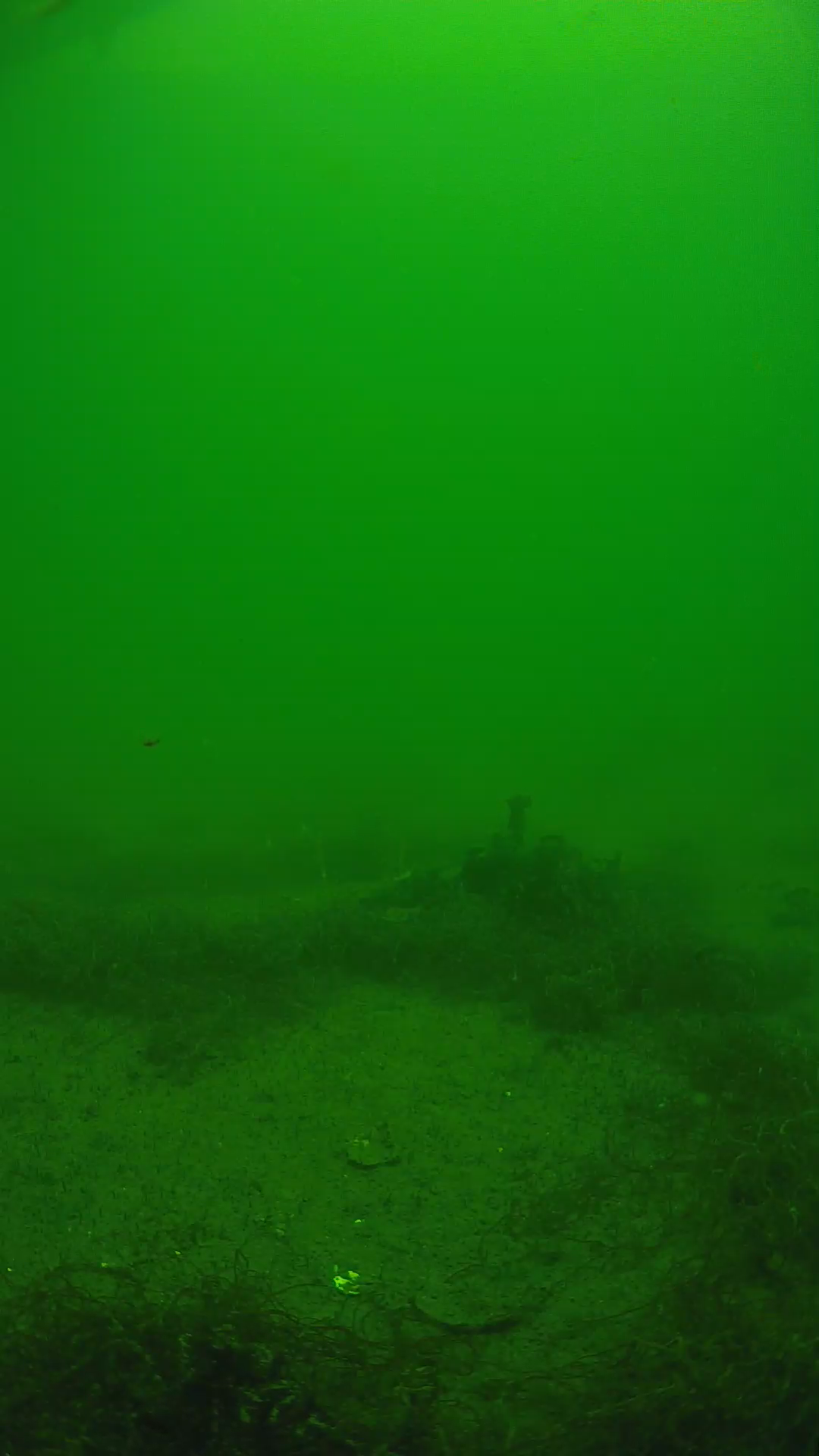 lander_ipcam_20250604124619.png