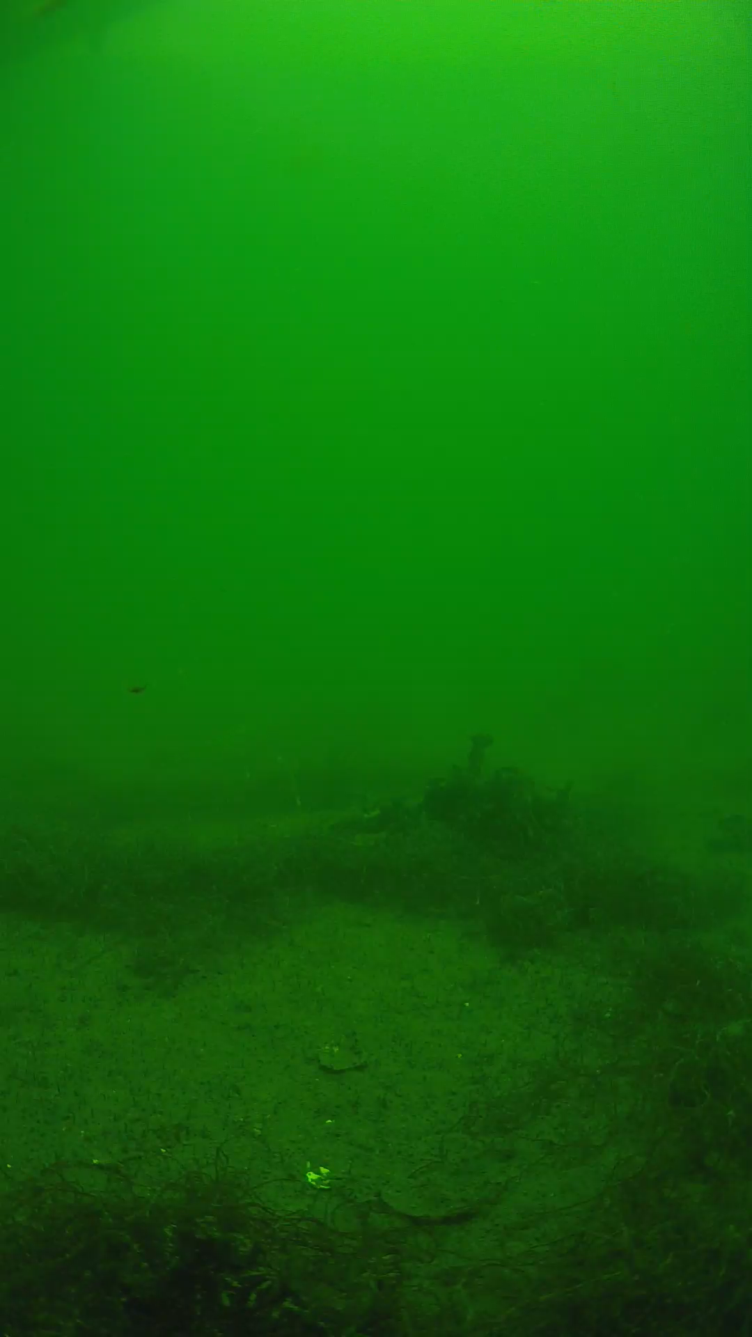 lander_ipcam_20250604124620.png