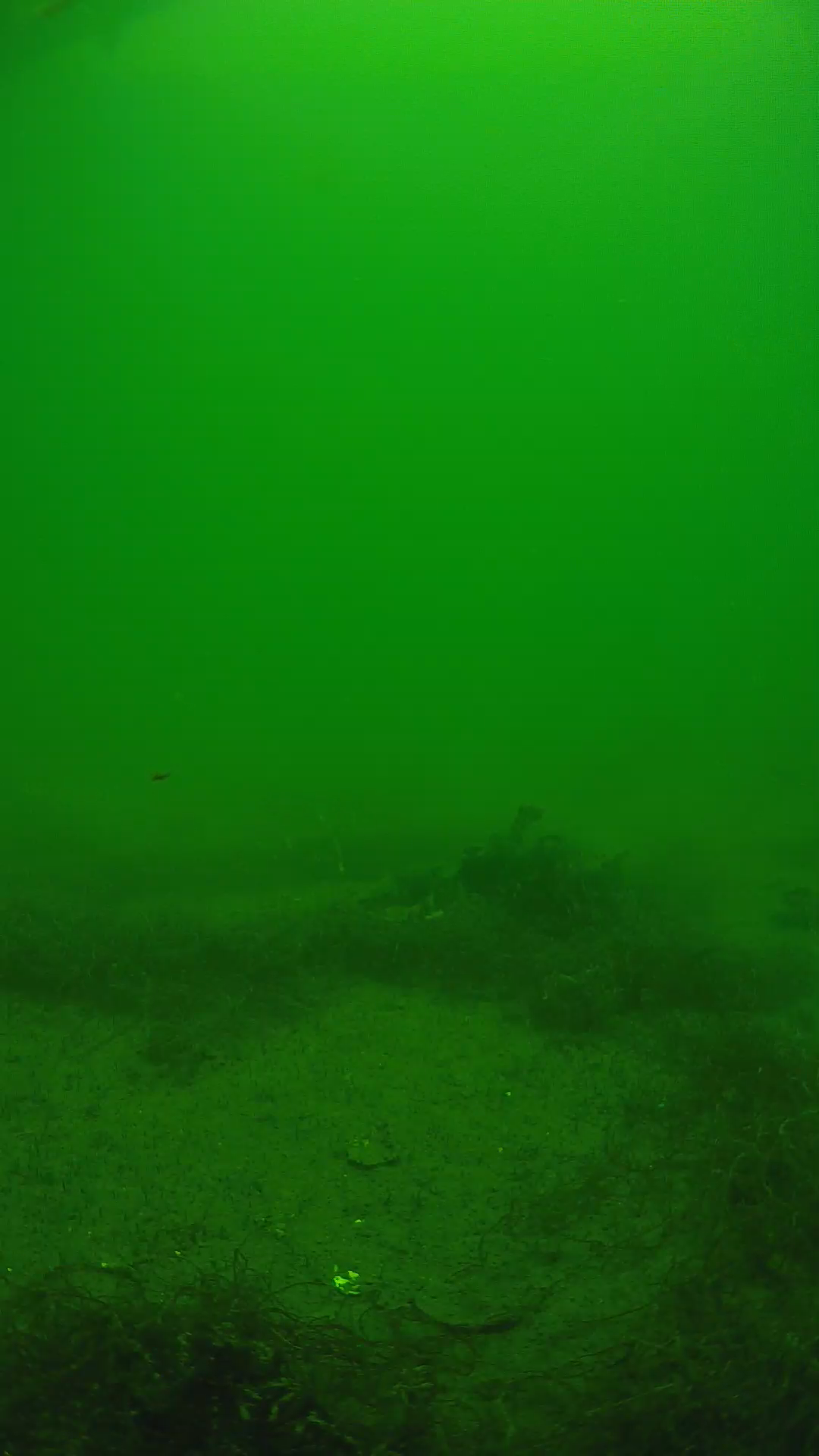 lander_ipcam_20250604124623.png