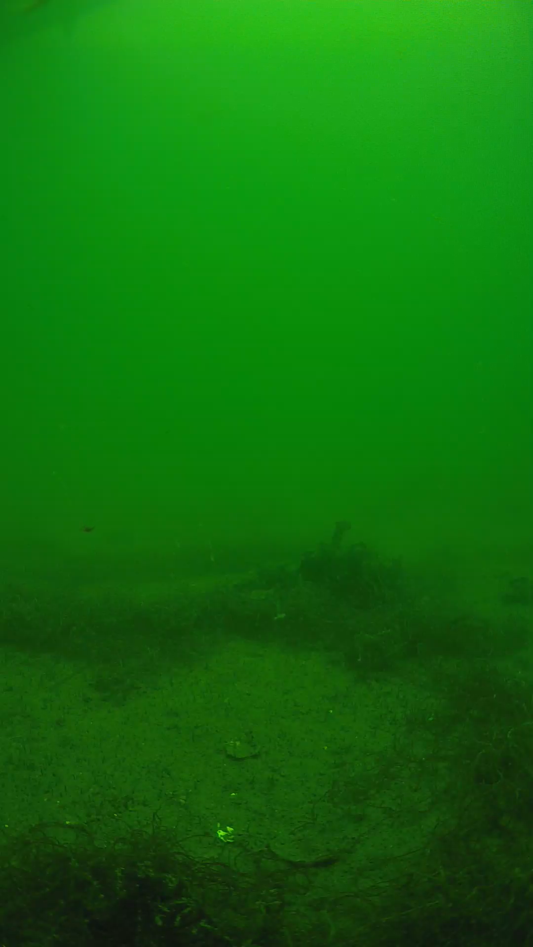 lander_ipcam_20250604124627.png