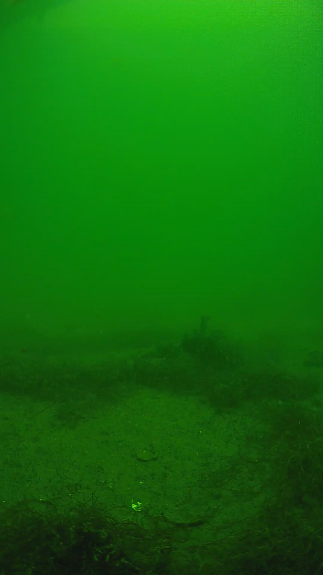 lander_ipcam_20250604124635.png
