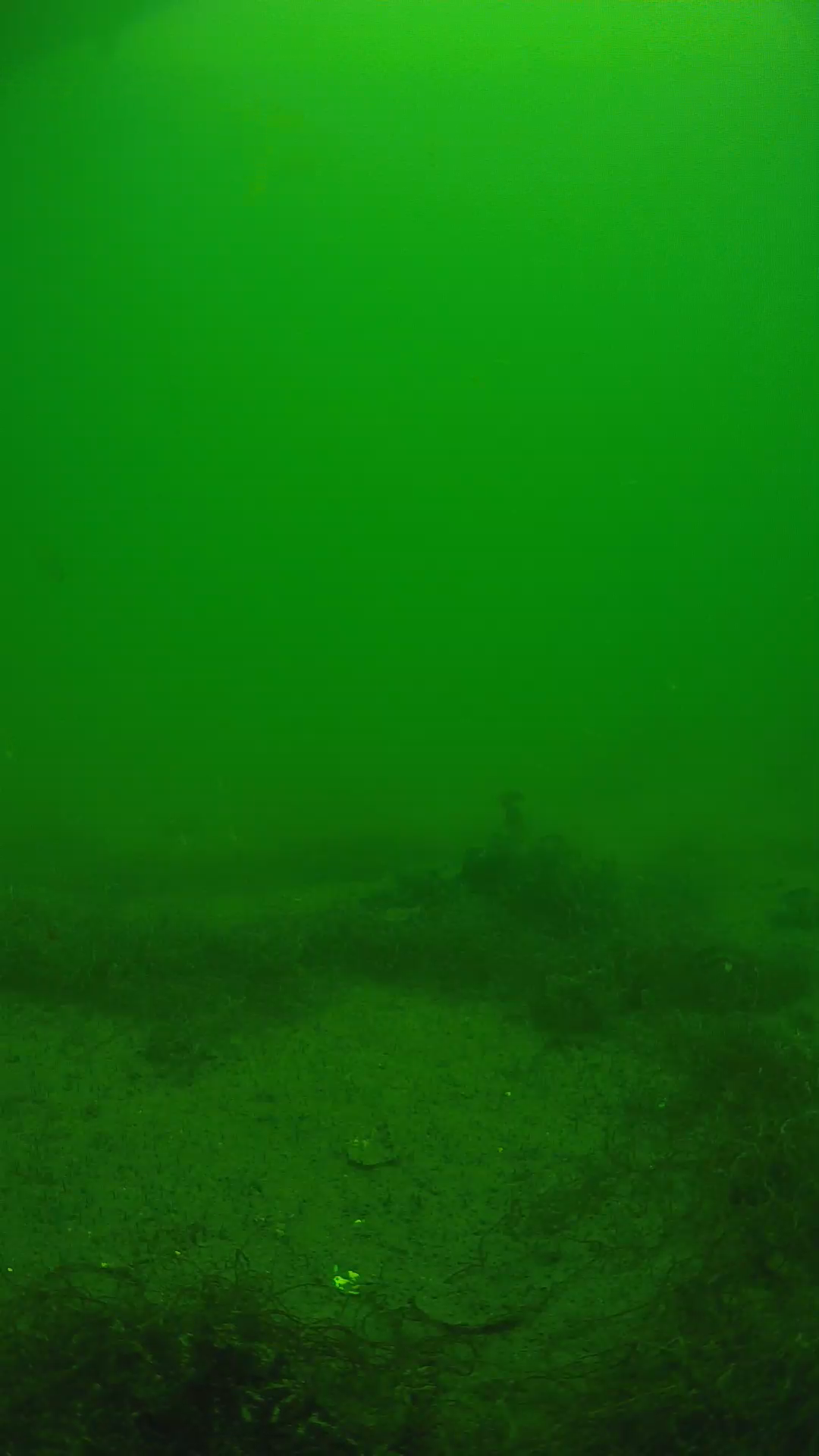 lander_ipcam_20250604124639.png