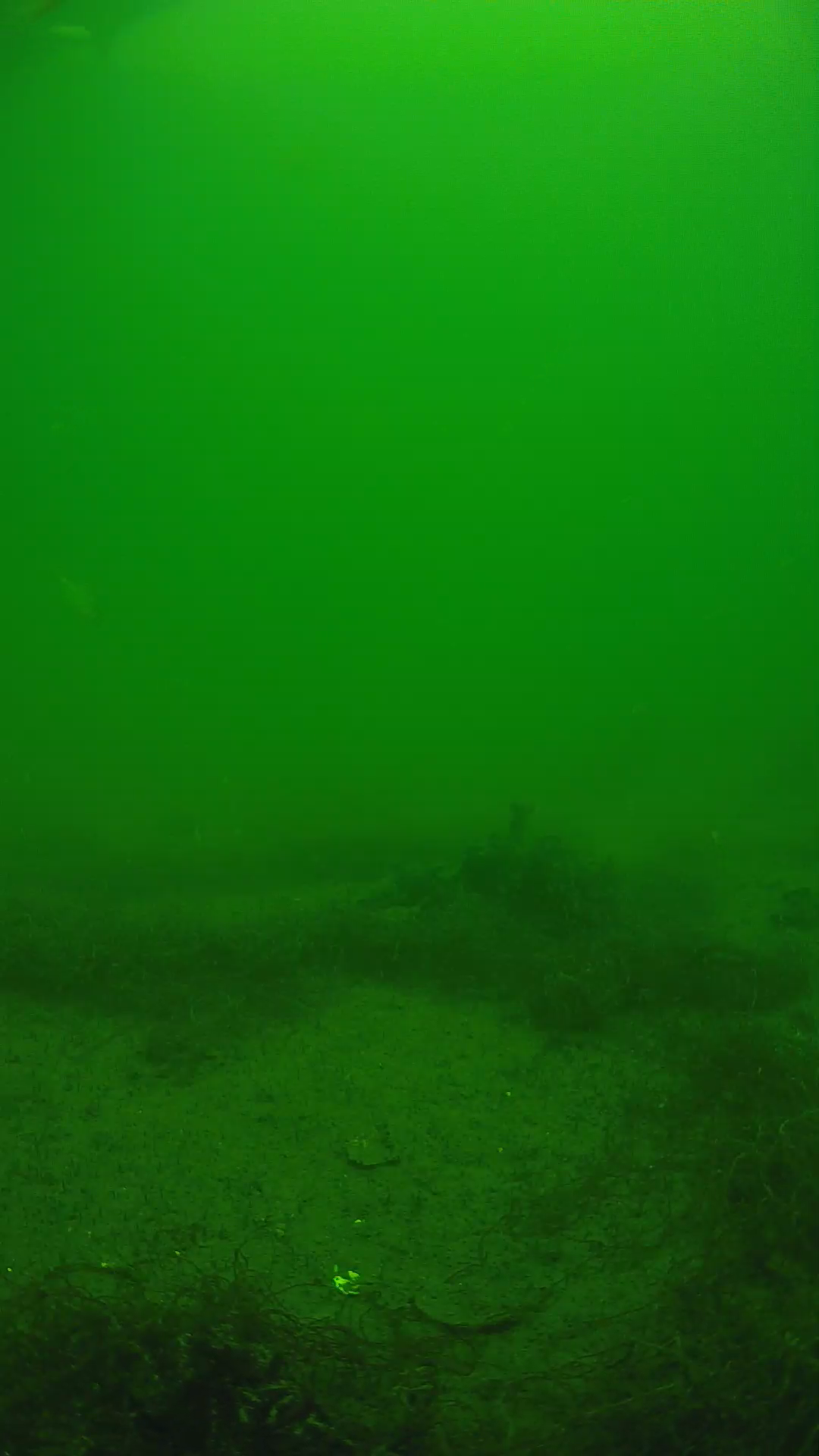 lander_ipcam_20250604124643.png