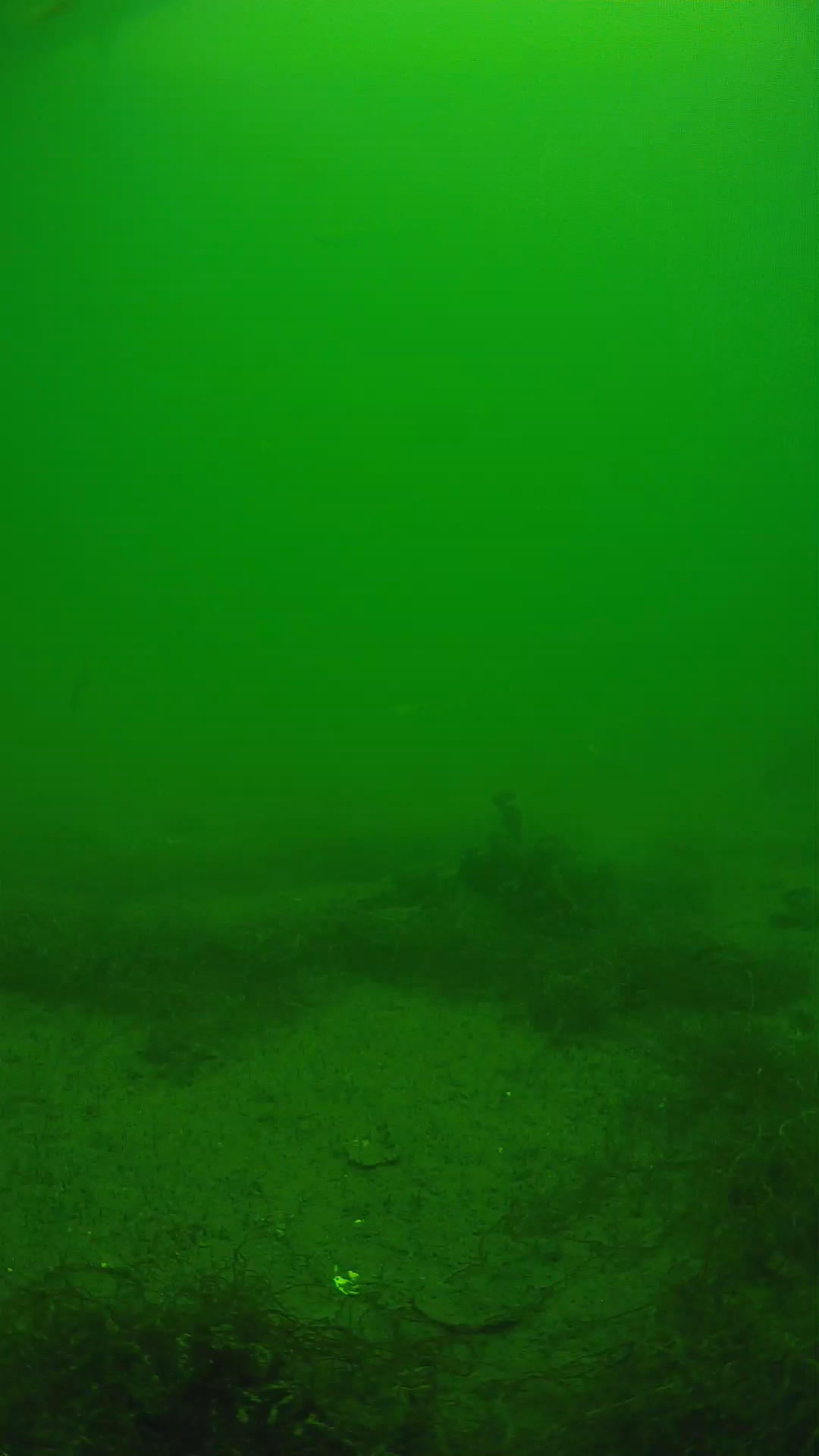 lander_ipcam_20250604124648.png