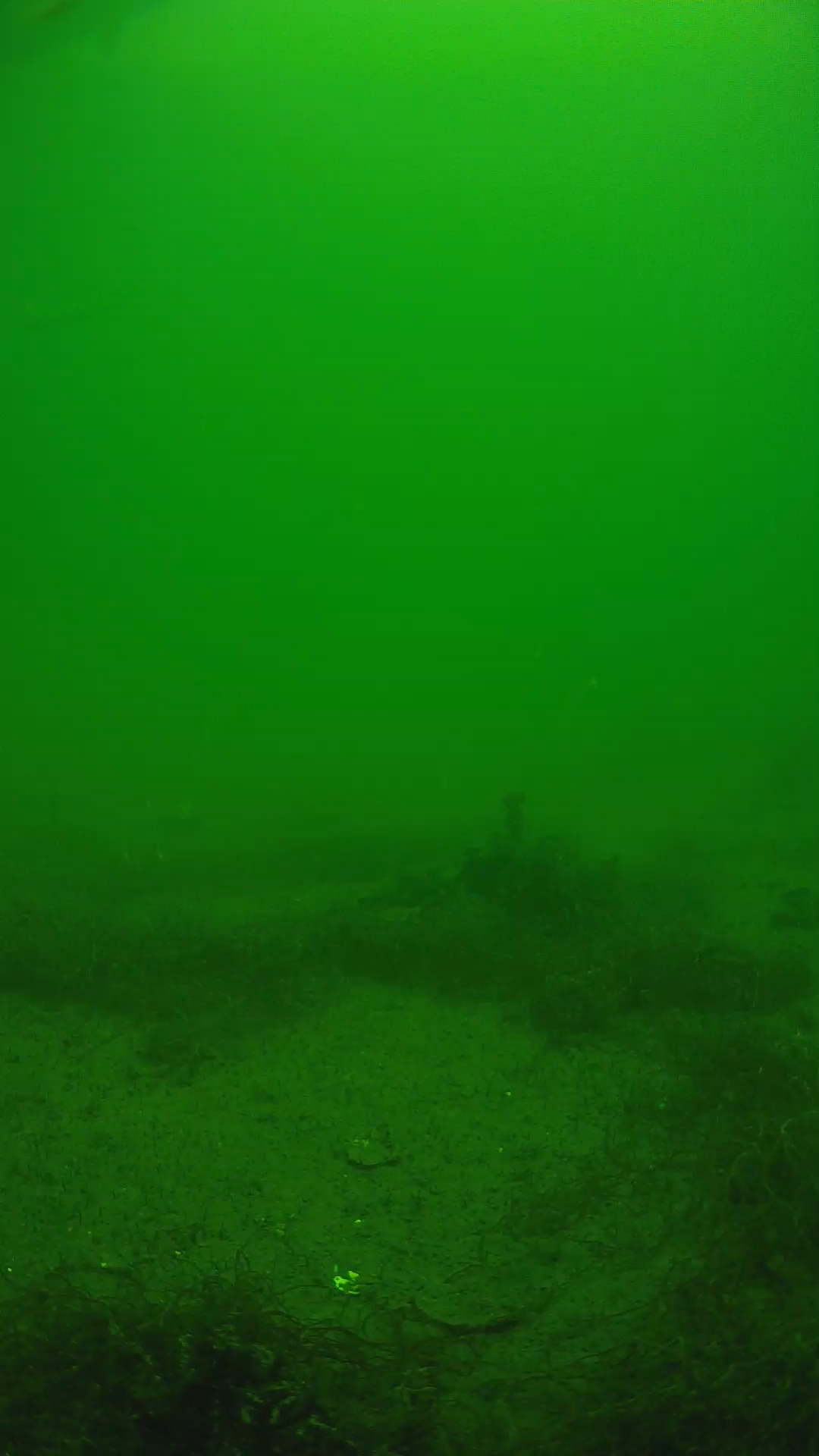 lander_ipcam_20250604124651.png
