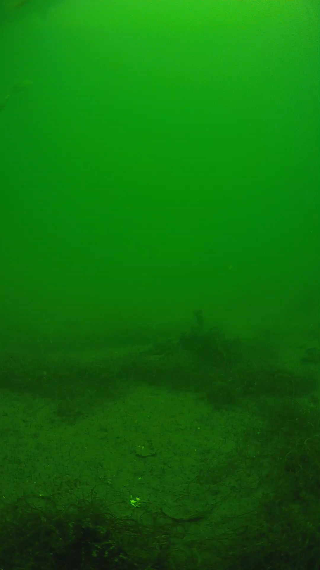 lander_ipcam_20250604124654.png