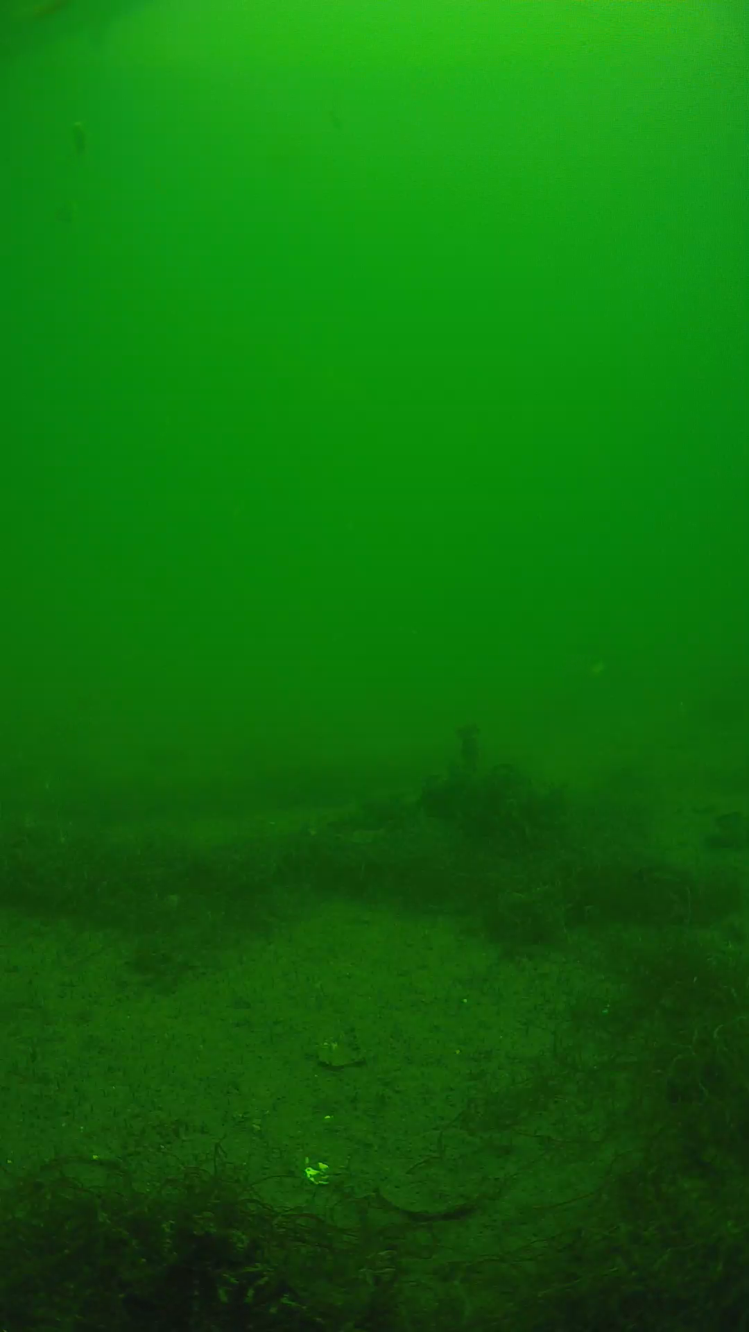 lander_ipcam_20250604124659.png