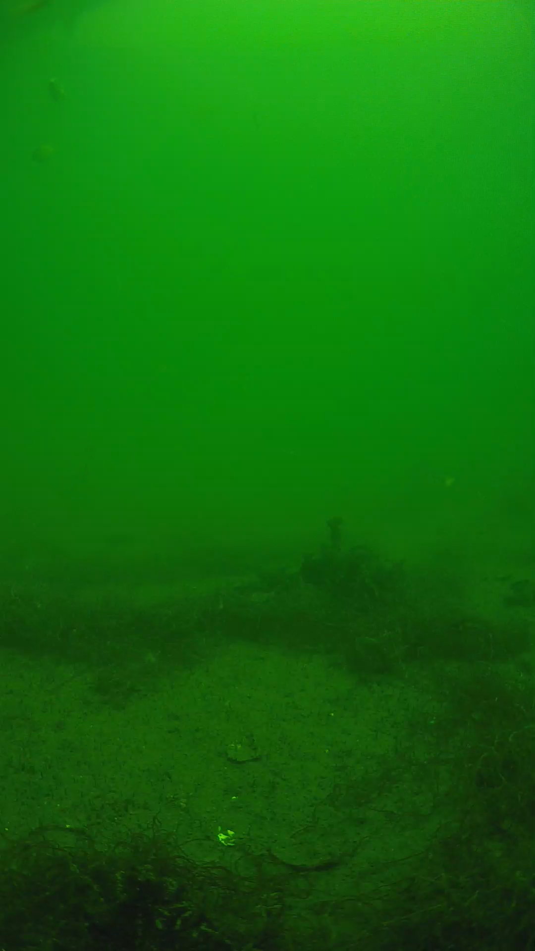 lander_ipcam_20250604124700.png