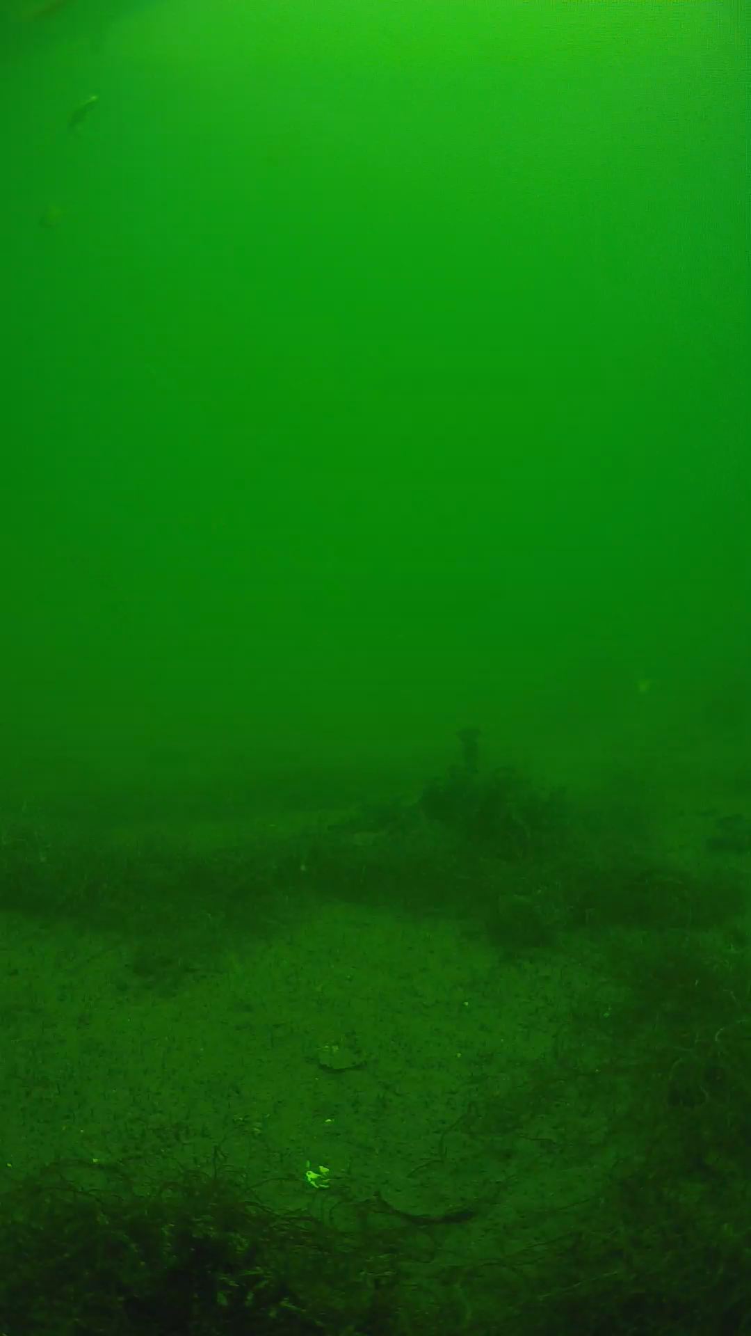 lander_ipcam_20250604124701.png